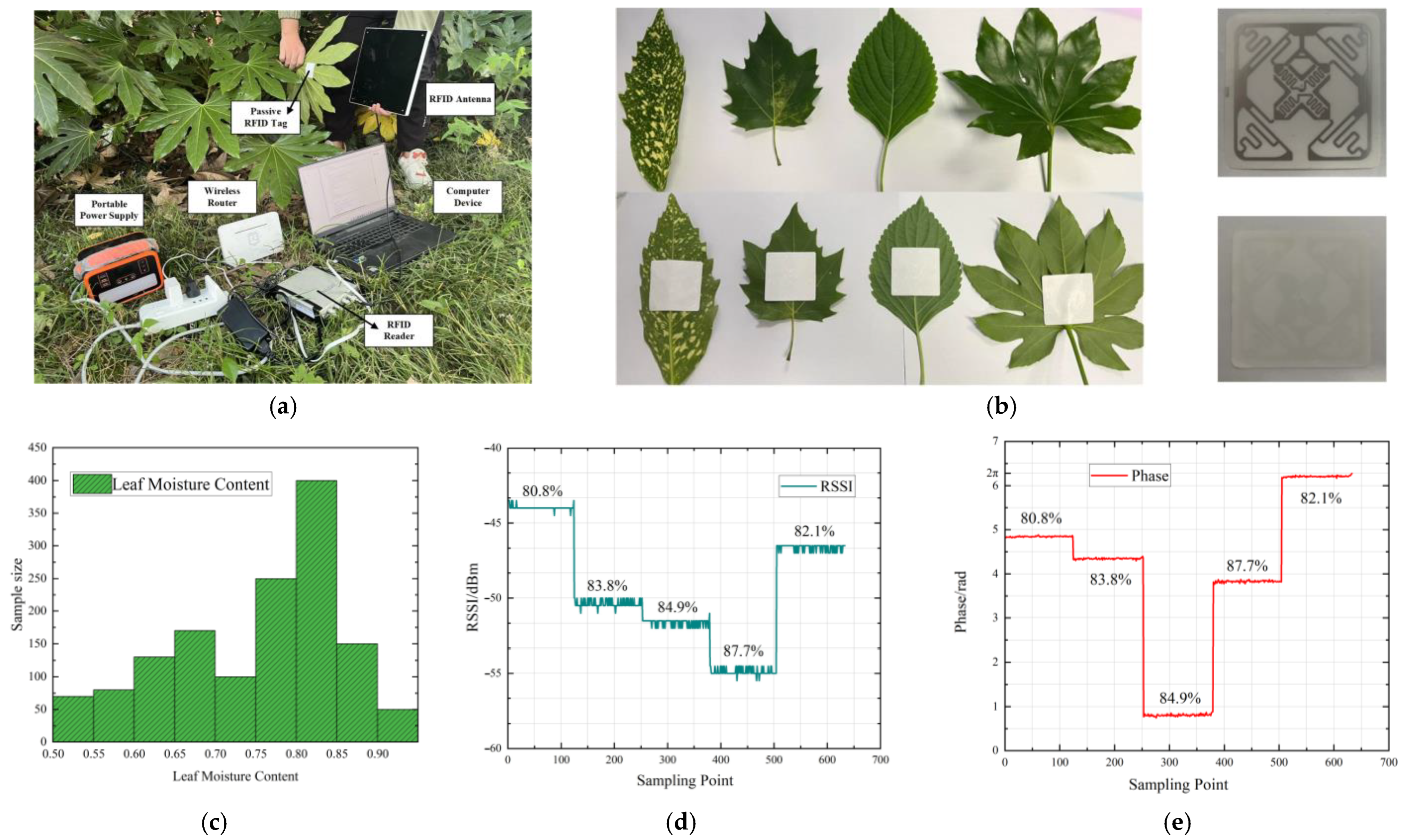 Forests 15 01798 g007