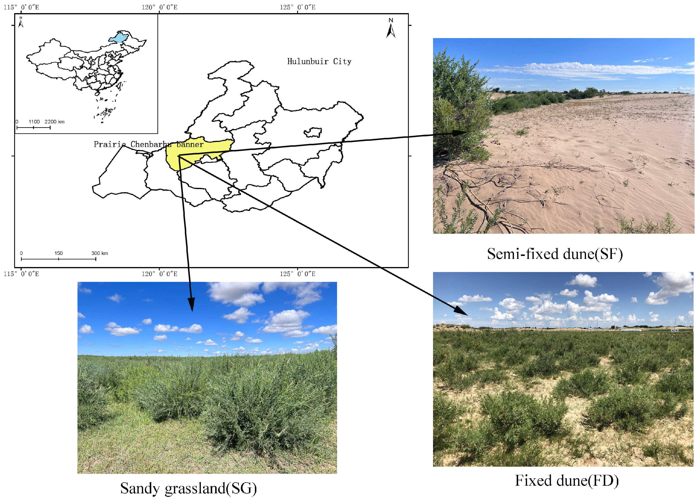 Forests 15 01801 g001