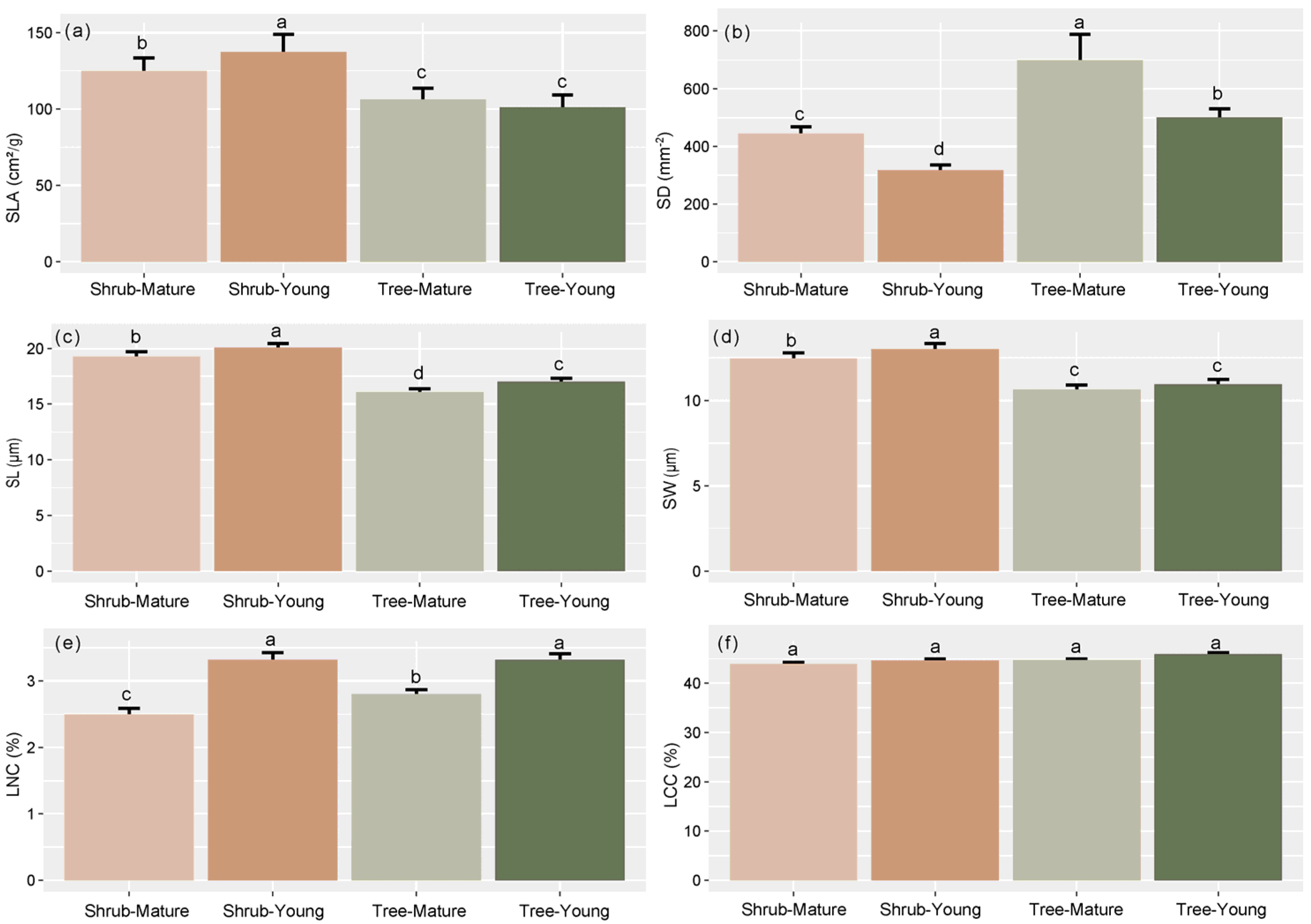 Forests 15 01803 g002