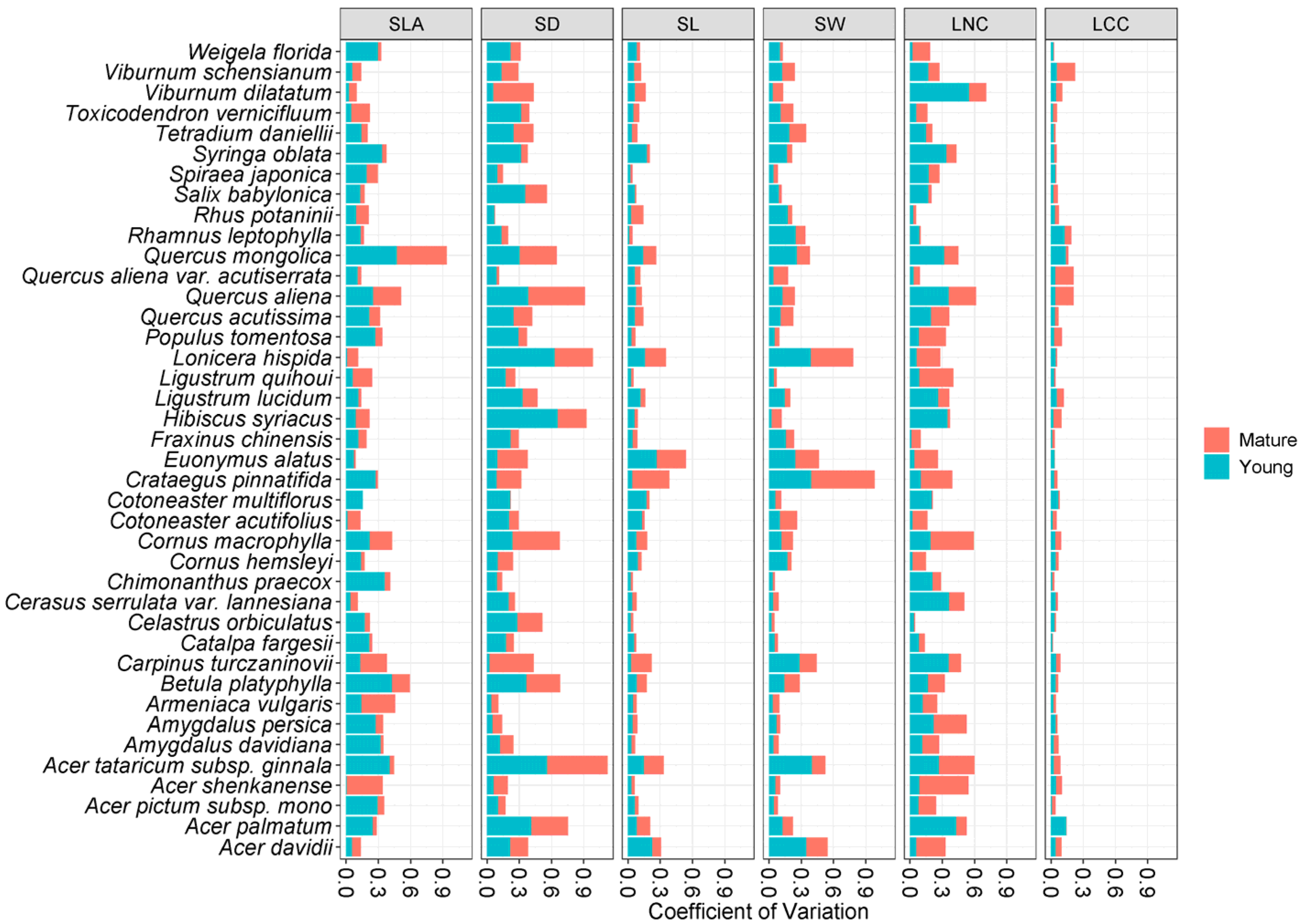 Forests 15 01803 g003