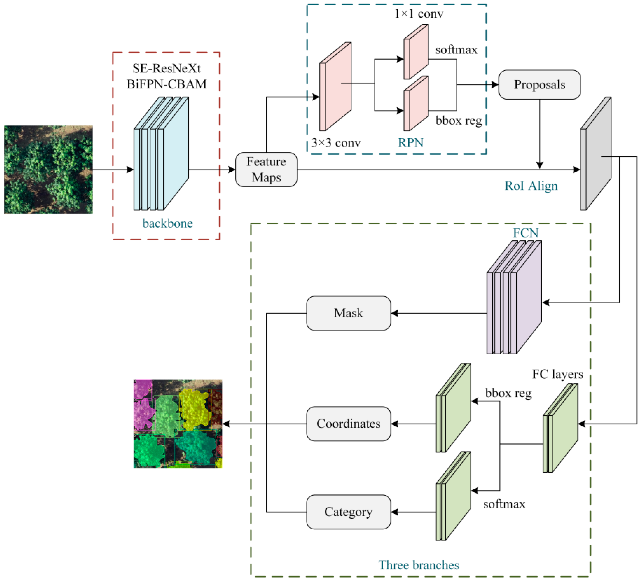 Forests 15 01814 g001