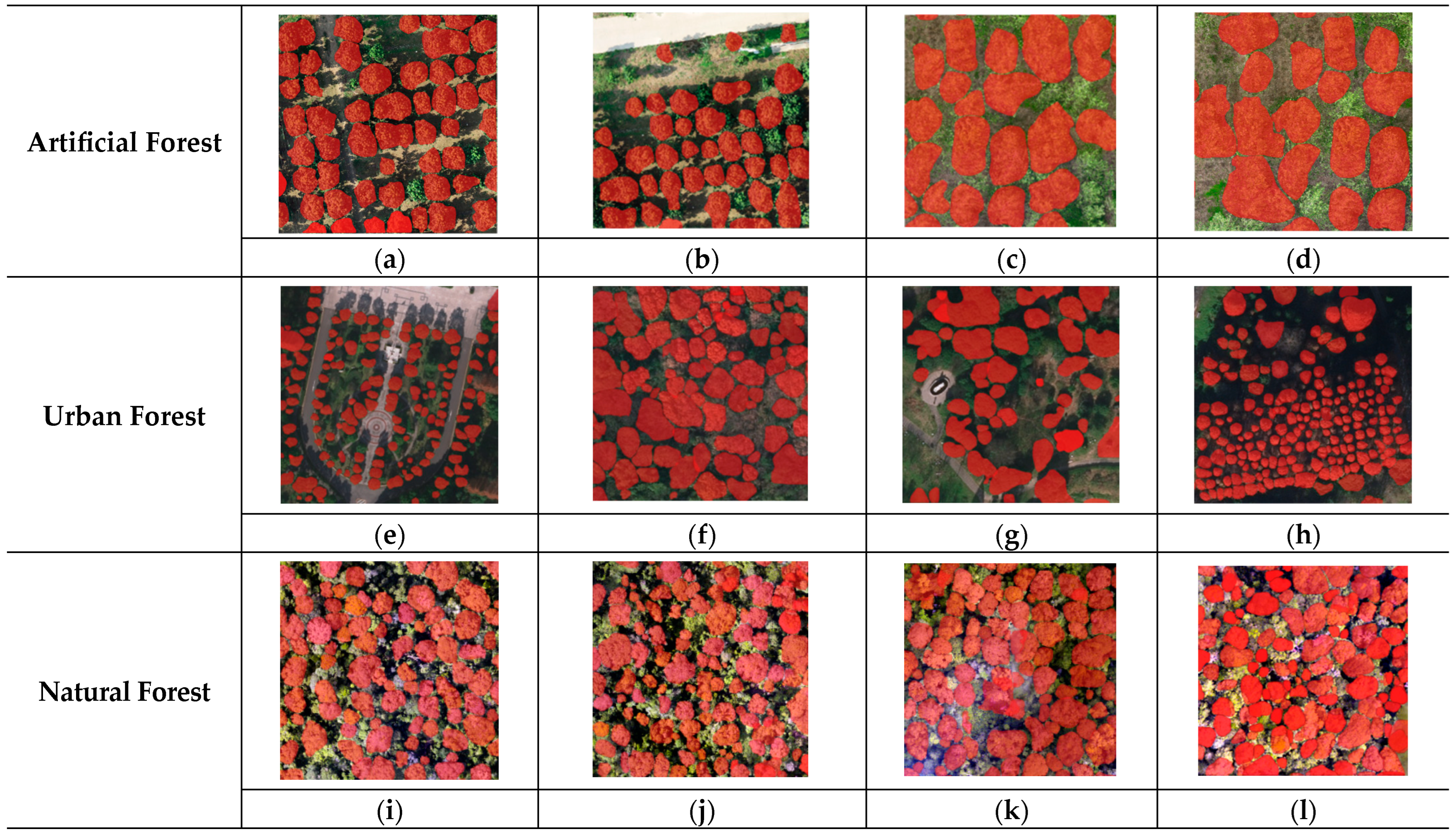 Forests 15 01814 g011
