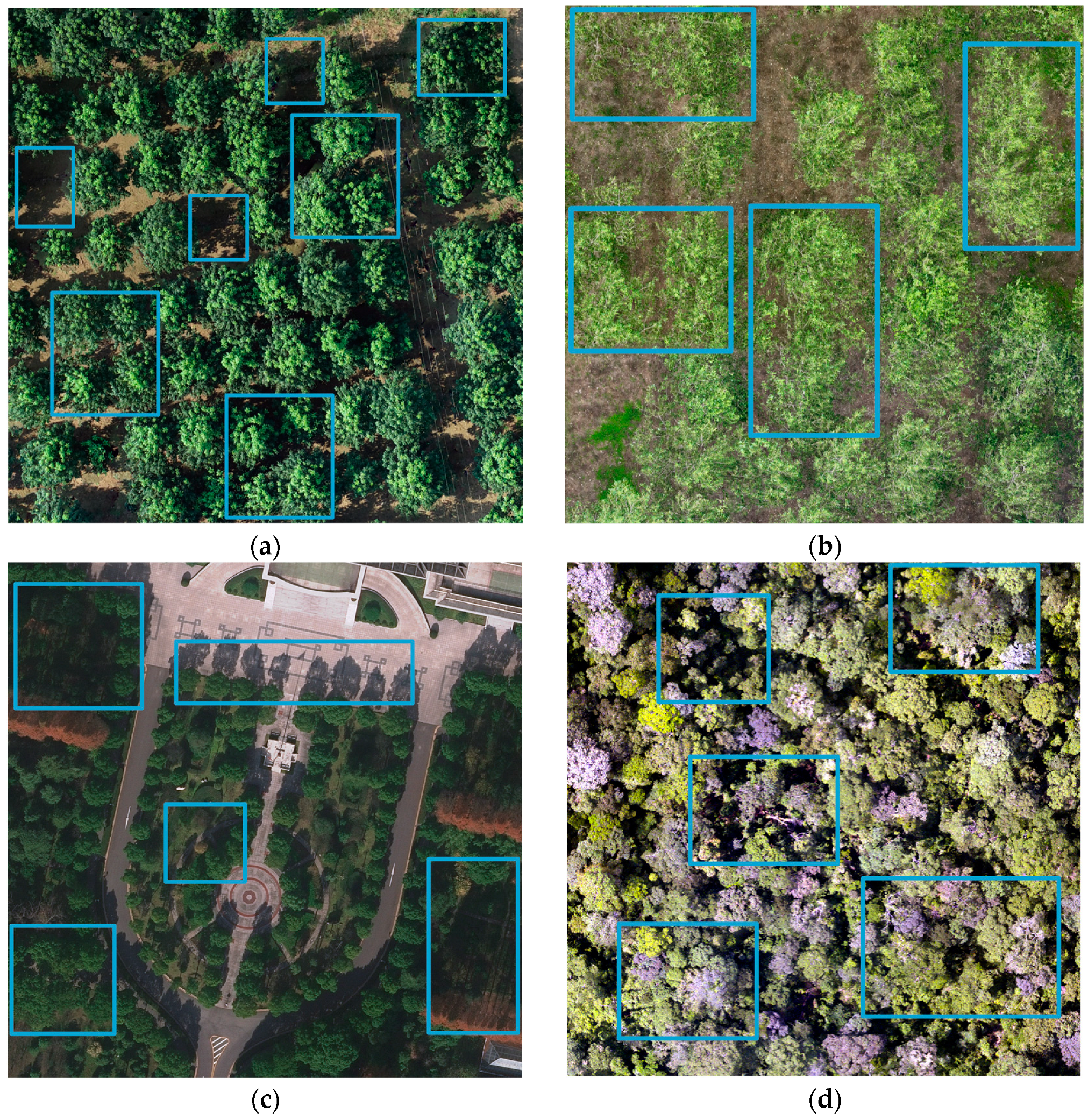Forests 15 01814 g012