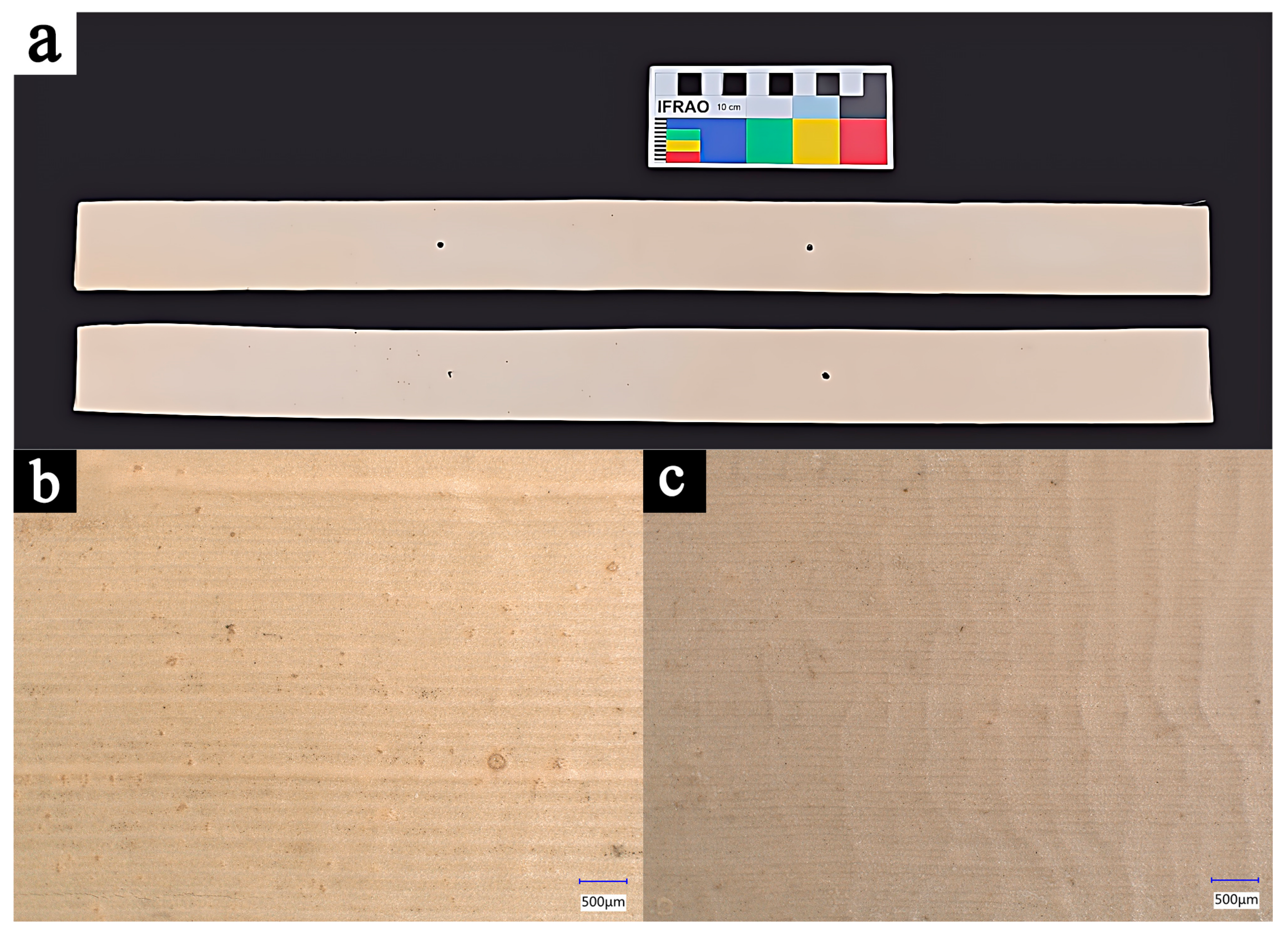 Forests 15 01816 g001