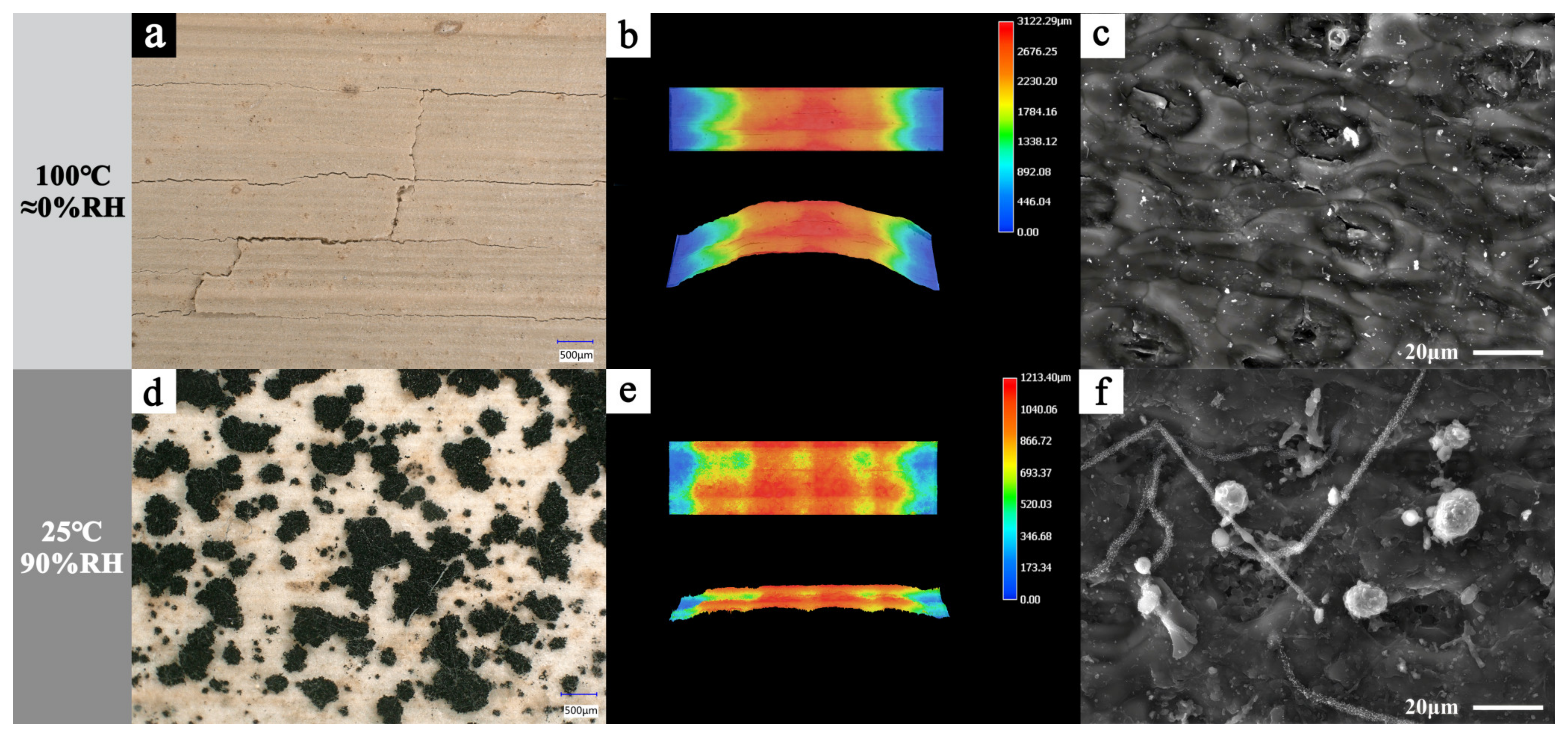 Forests 15 01816 g002