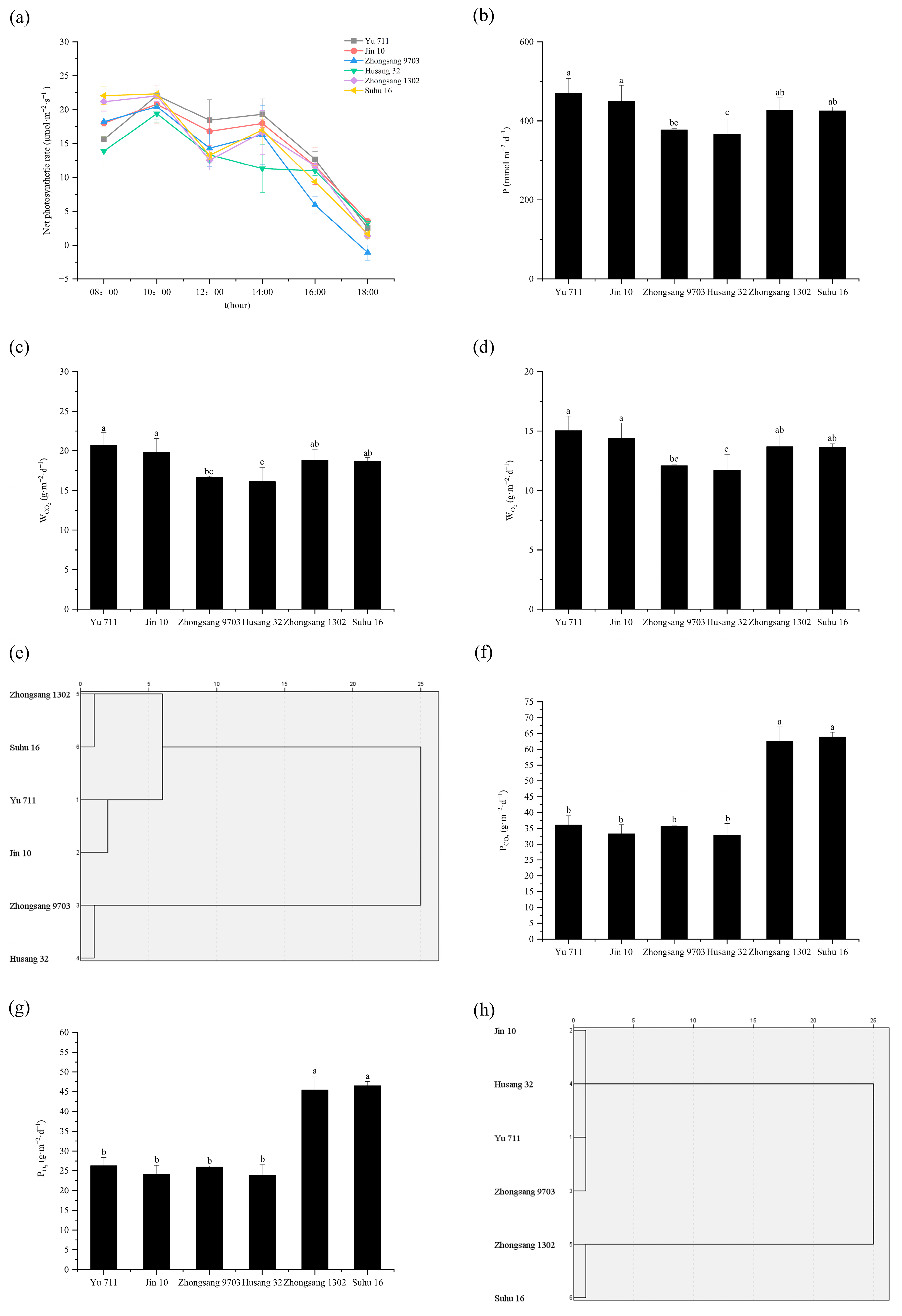 Forests 15 01819 g004