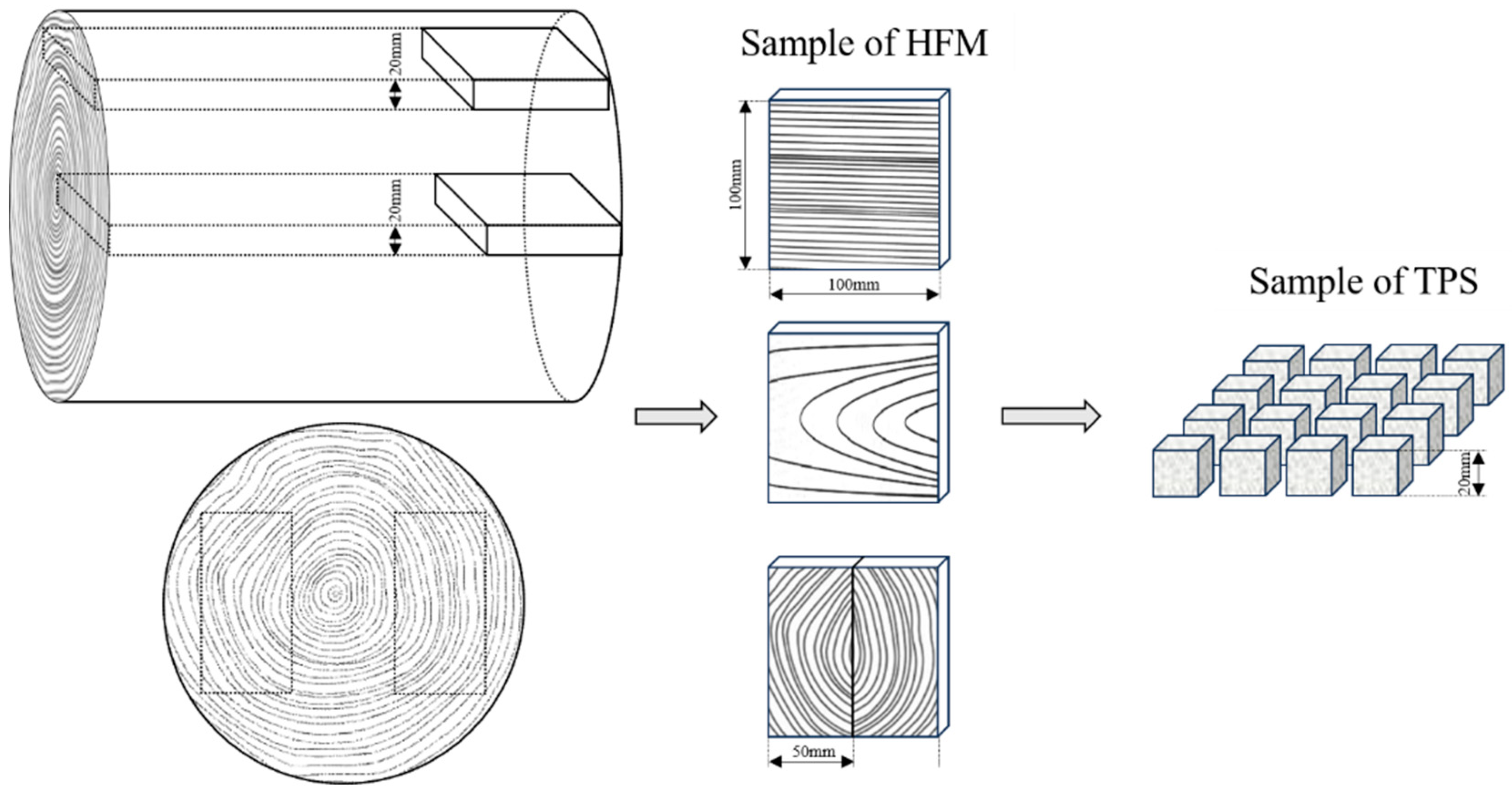 Forests 15 01820 g002
