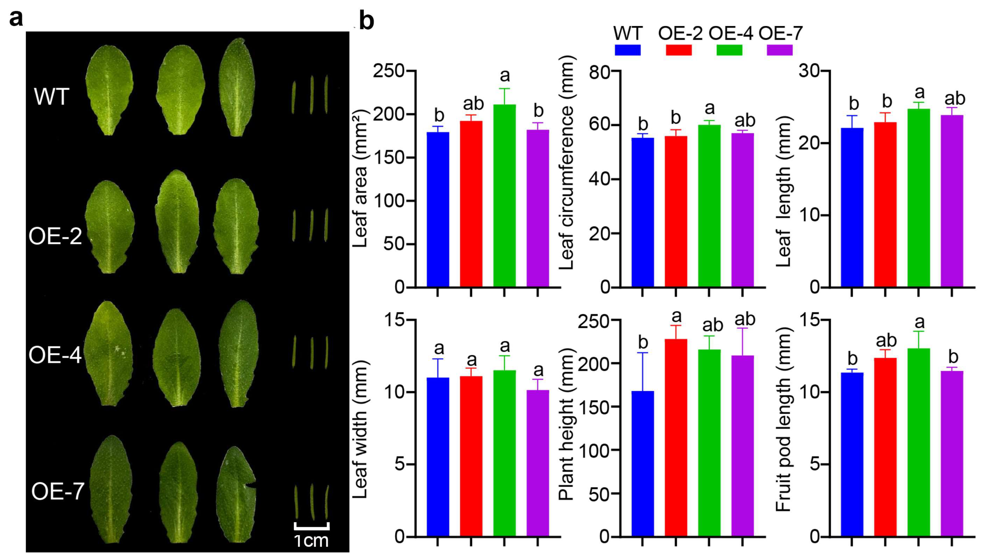 Forests 15 01822 g004 Forests 15 01822 g004