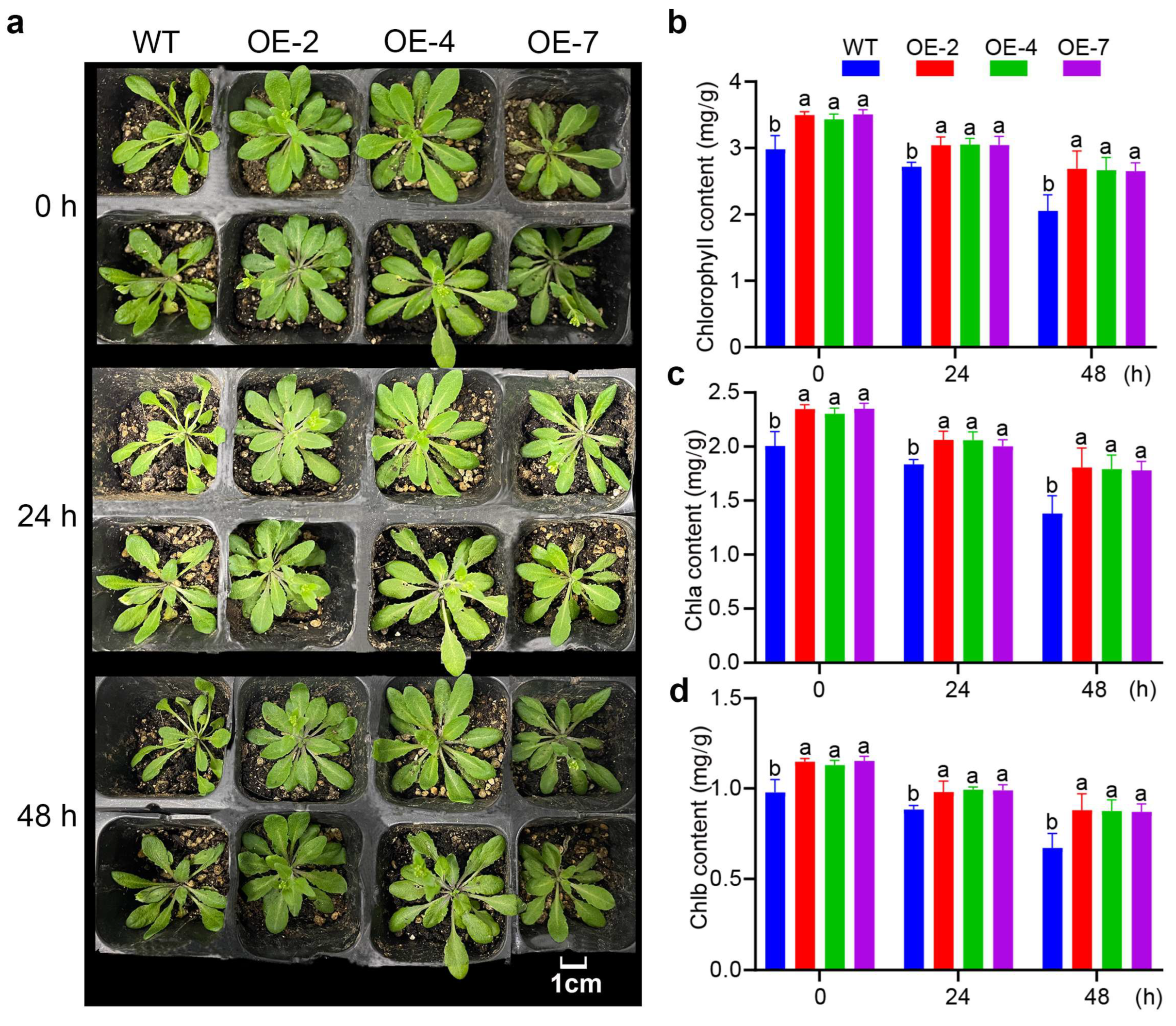 Forests 15 01822 g005 Forests 15 01822 g005