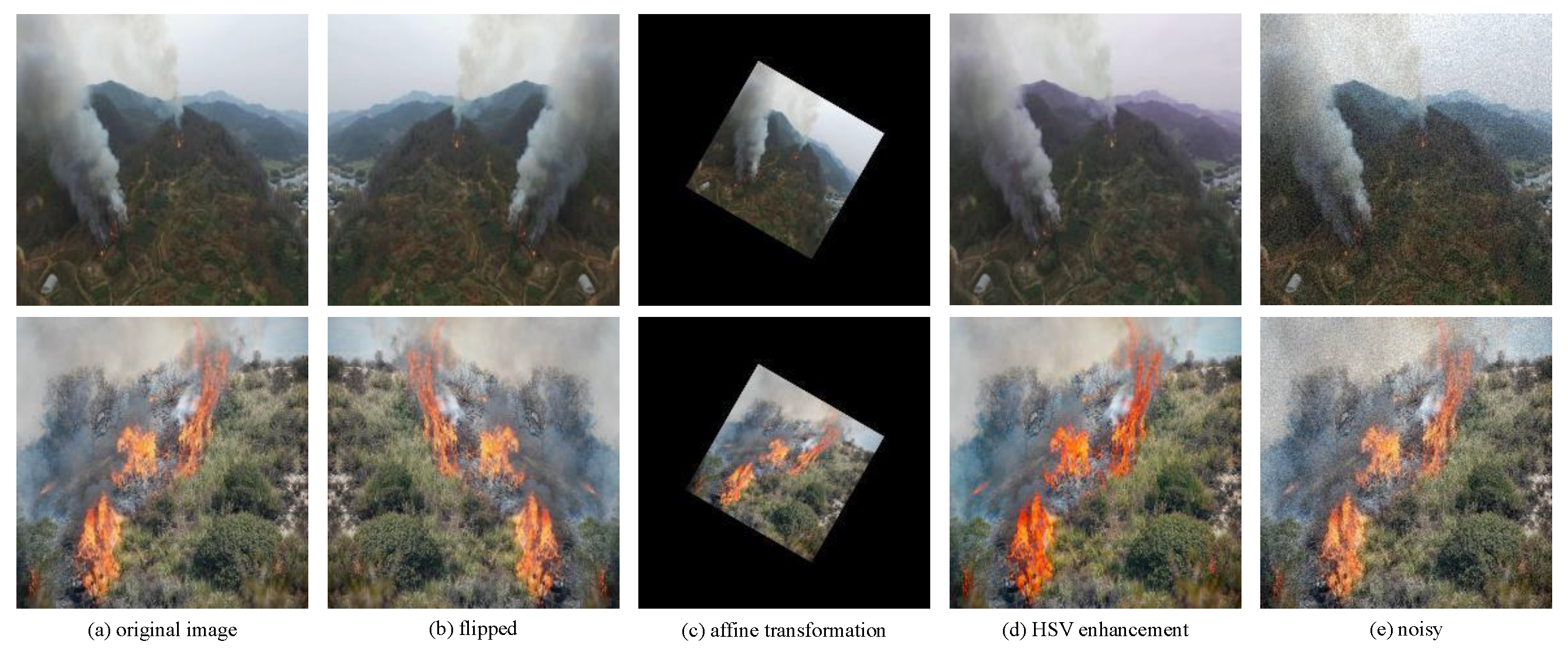 Forests 15 01823 g012