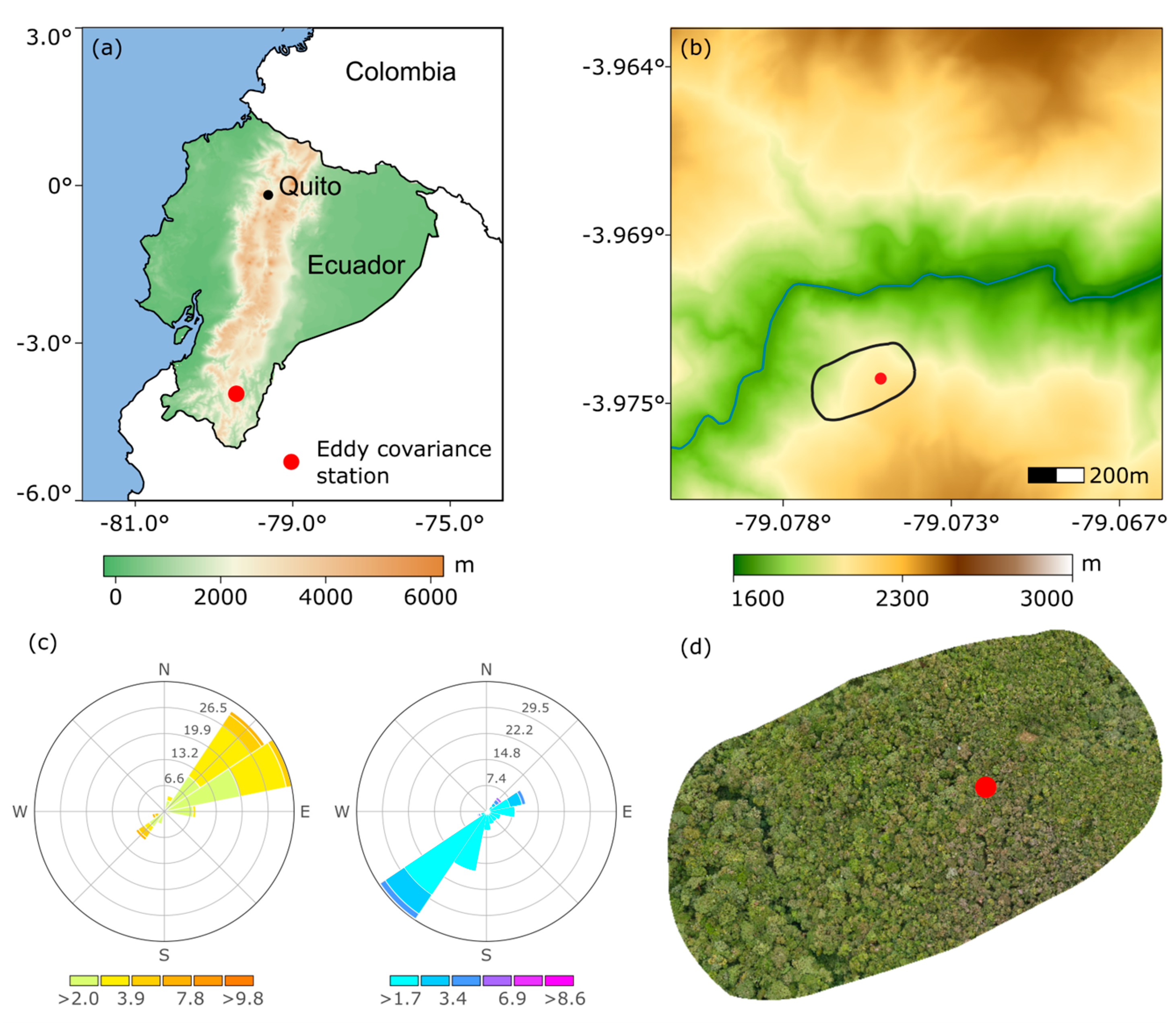 Forests 15 01828 g001