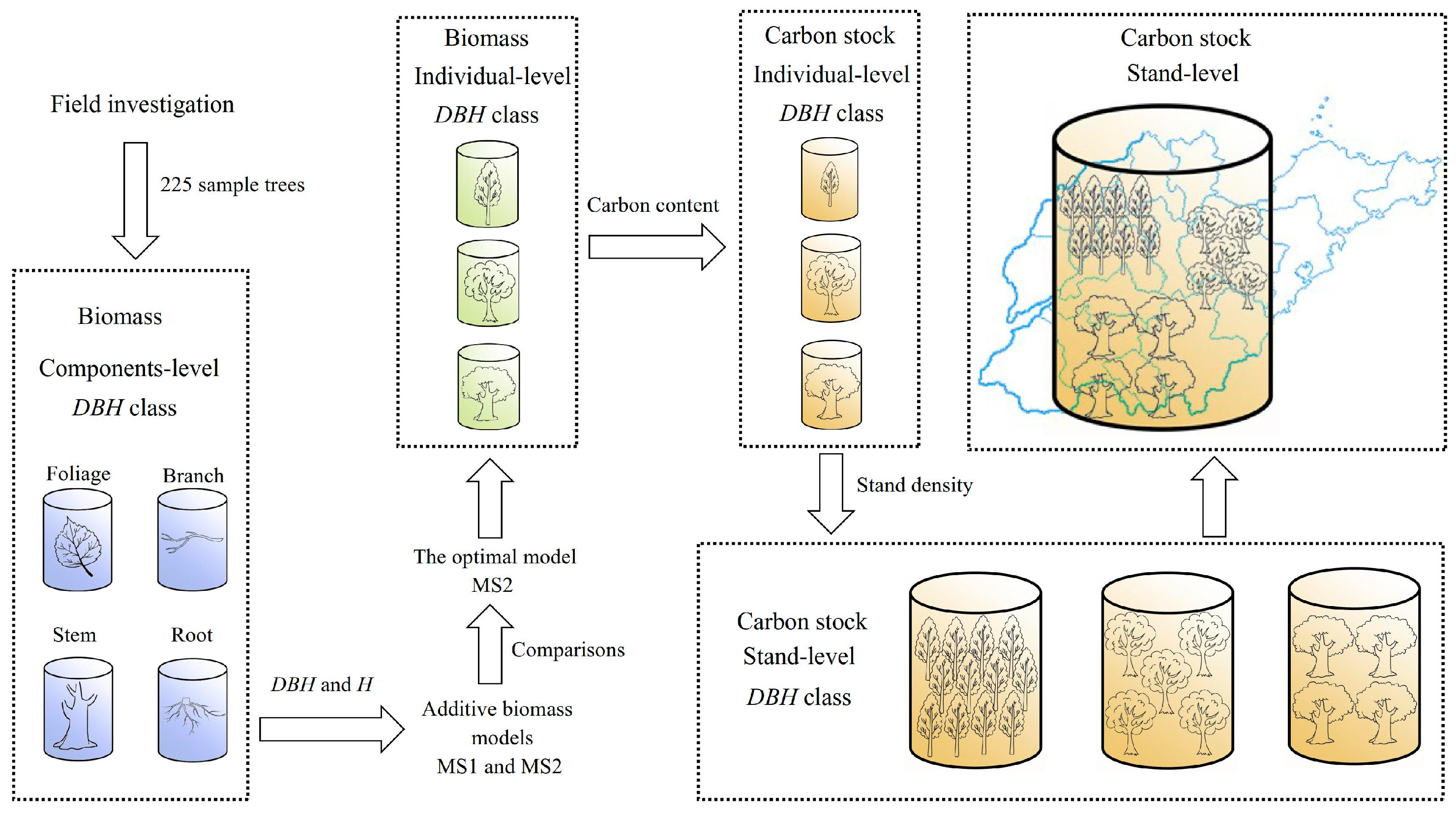 Forests 15 01829 g002