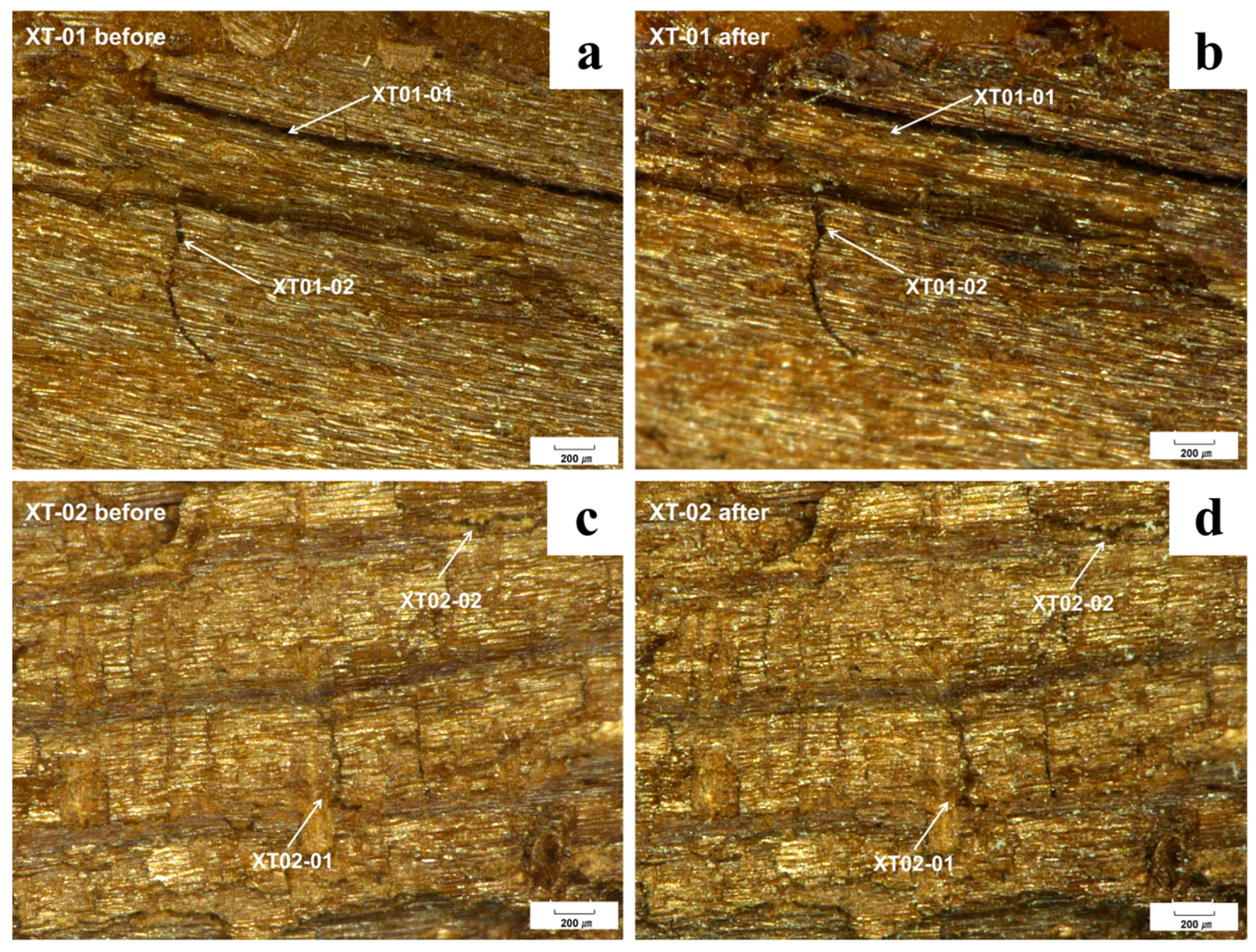 Forests 15 01830 g005 Forests 15 01830 g005