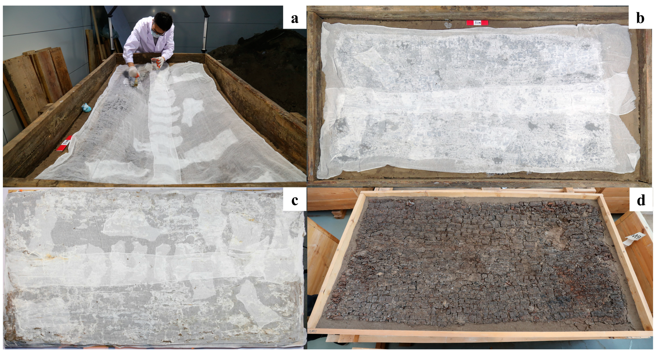 Forests 15 01830 g008 Forests 15 01830 g008