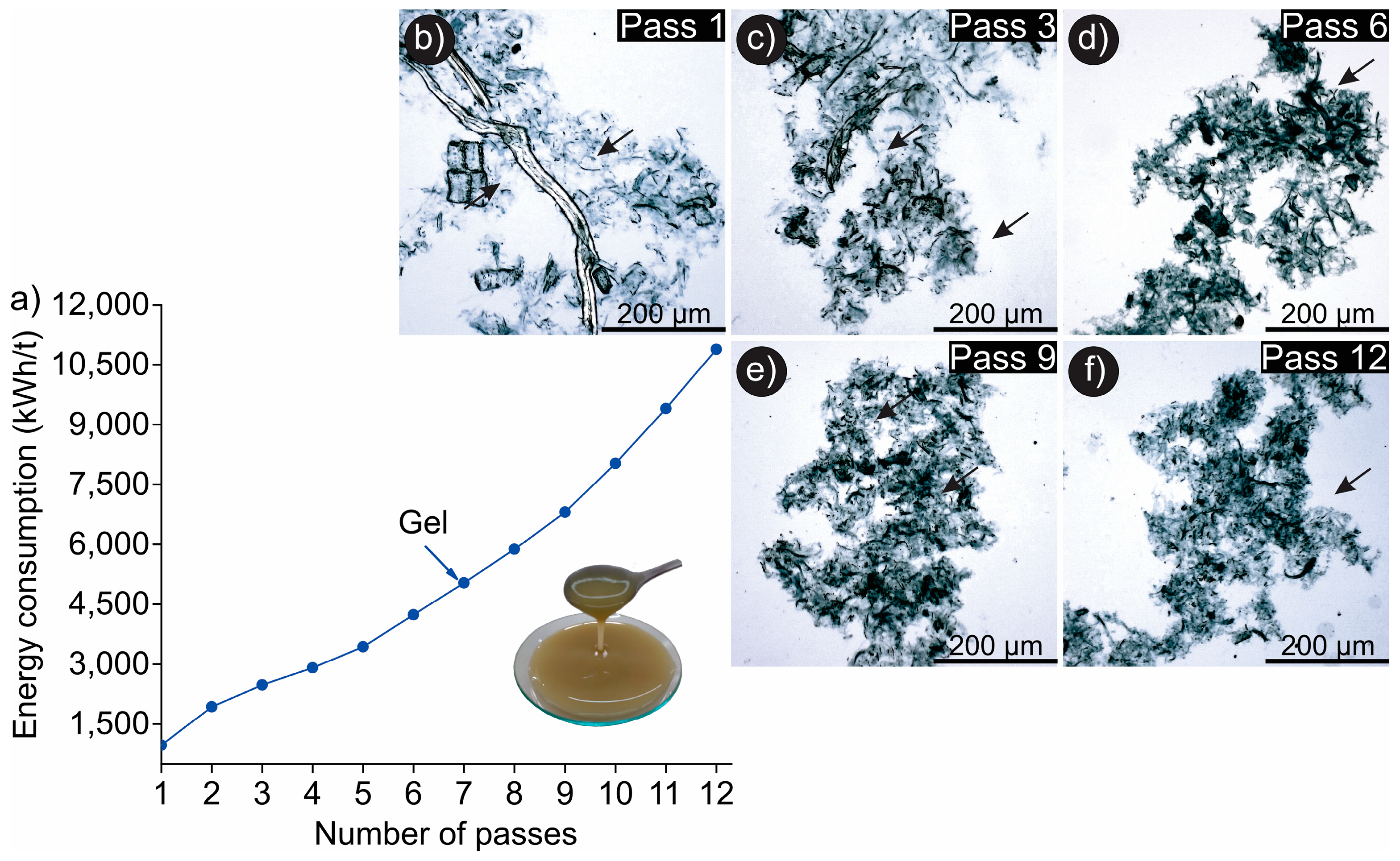 Forests 15 01834 g002