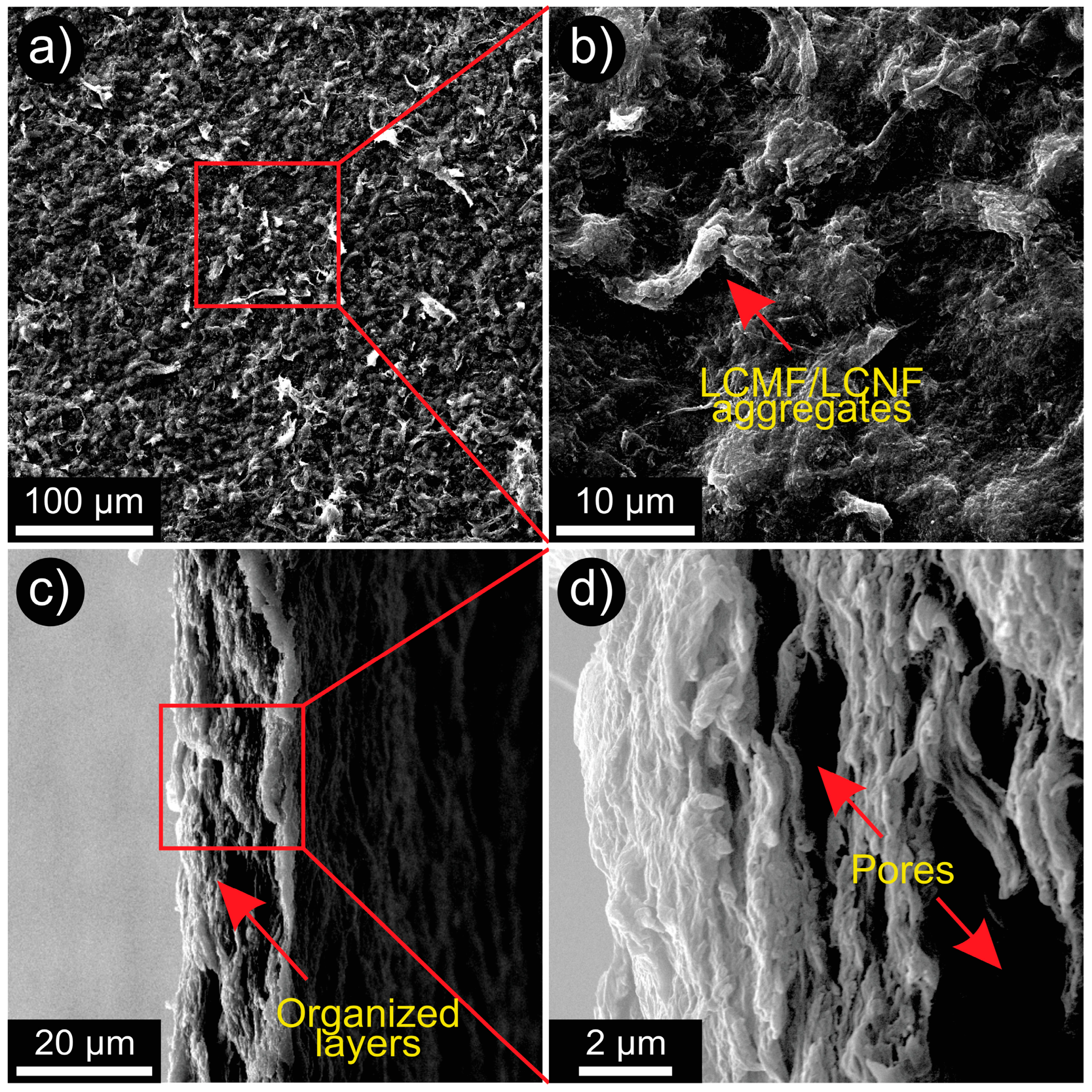 Forests 15 01834 g005