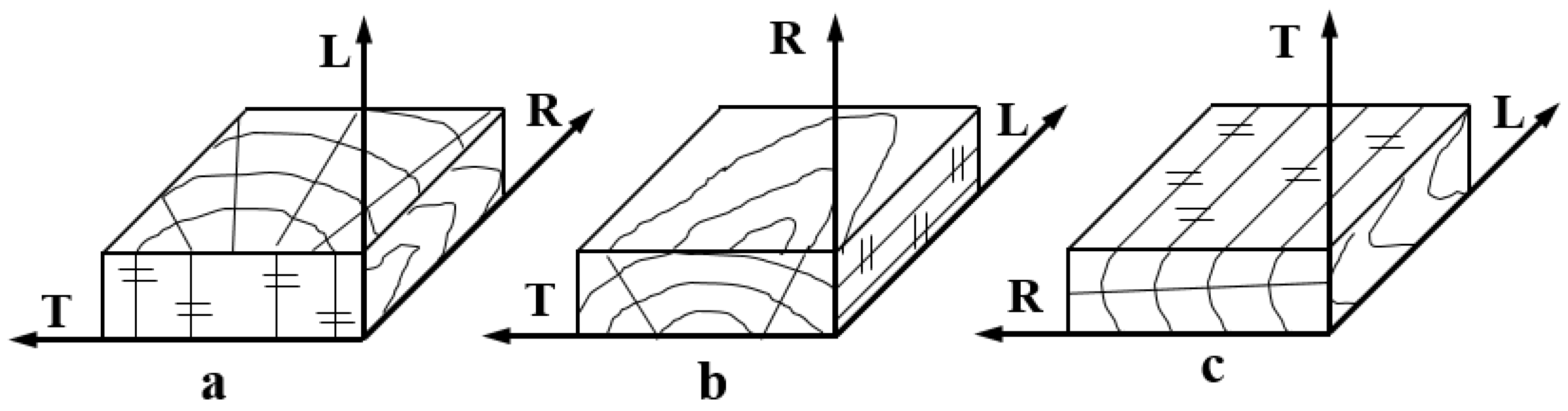 Forests 15 01837 g001