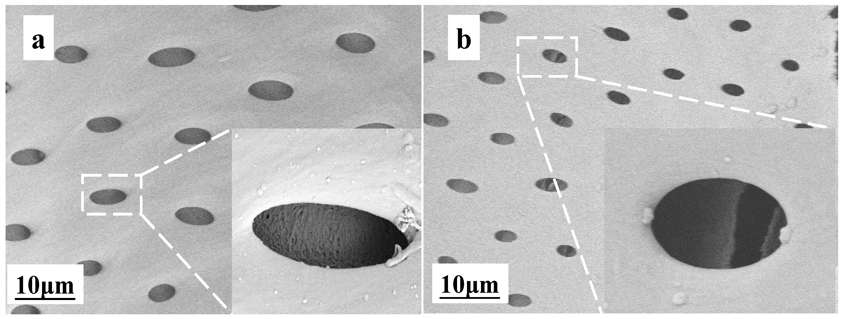 Forests 15 01837 g006a