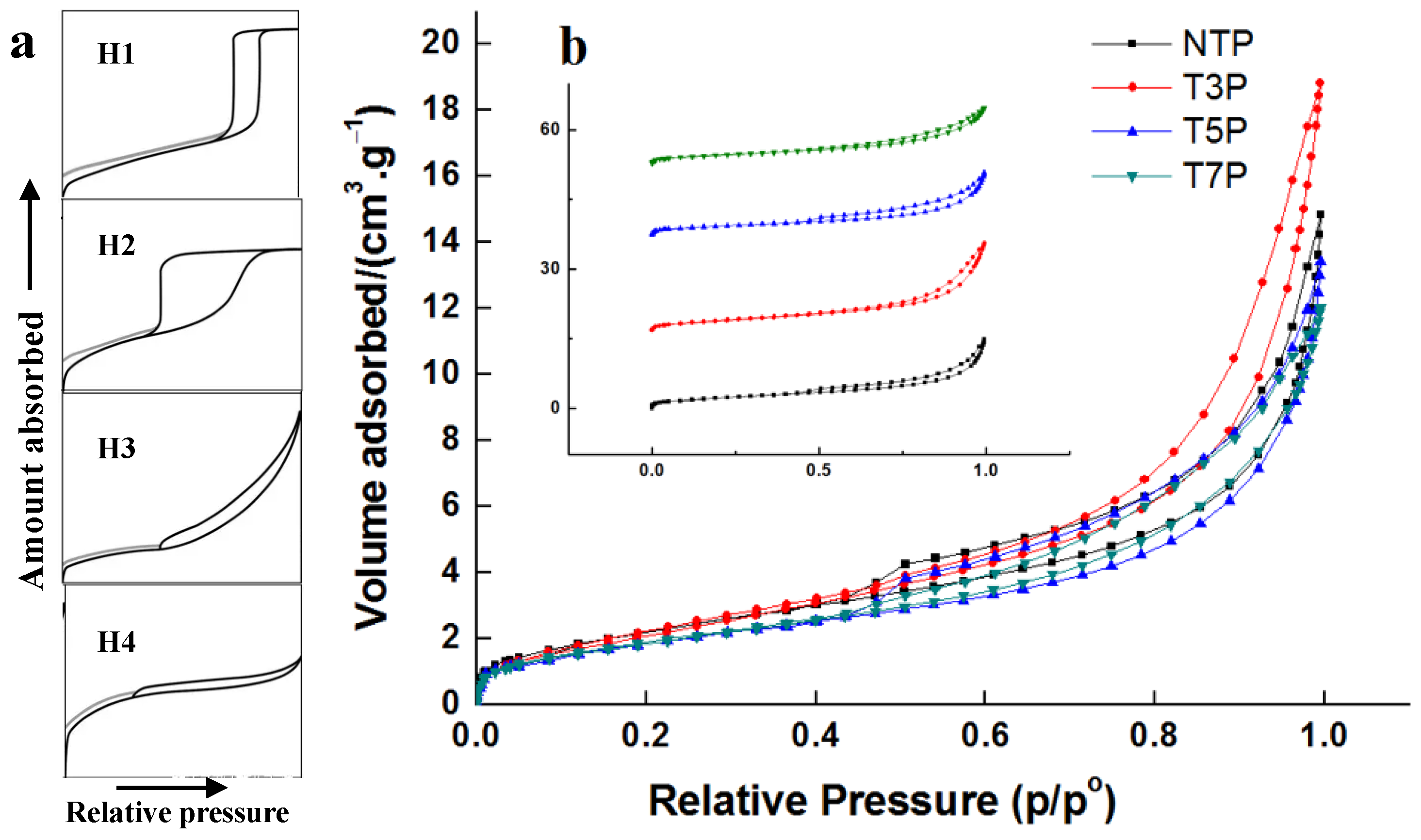 Forests 15 01837 g011
