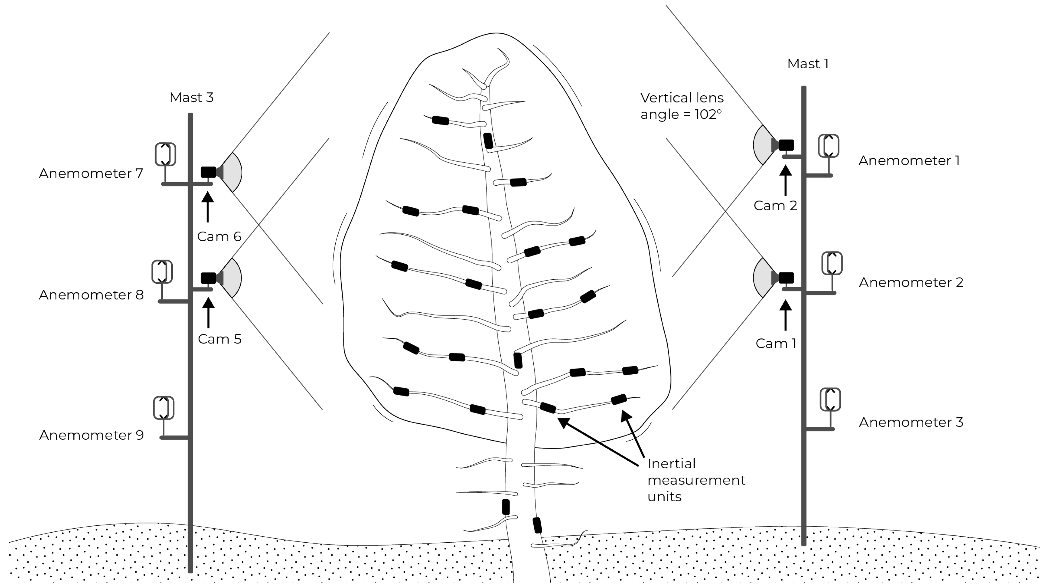 Forests 15 01846 g002 Forests 15 01846 g002