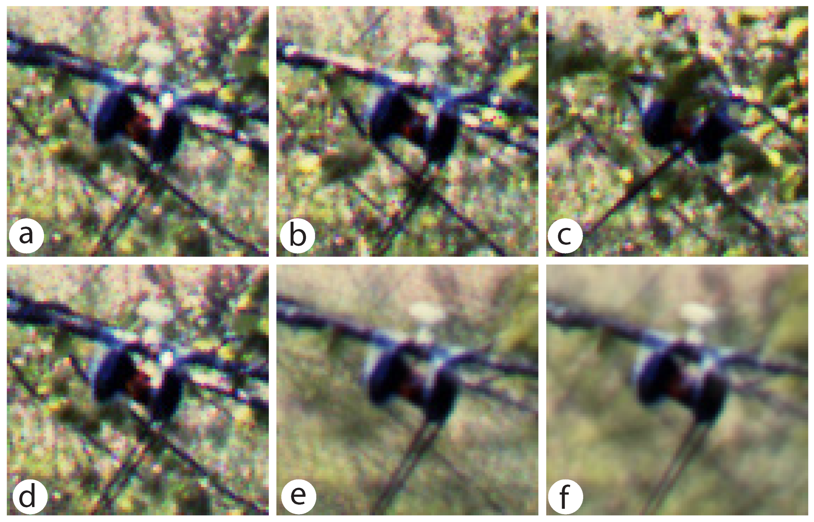 Forests 15 01846 g005 Forests 15 01846 g005