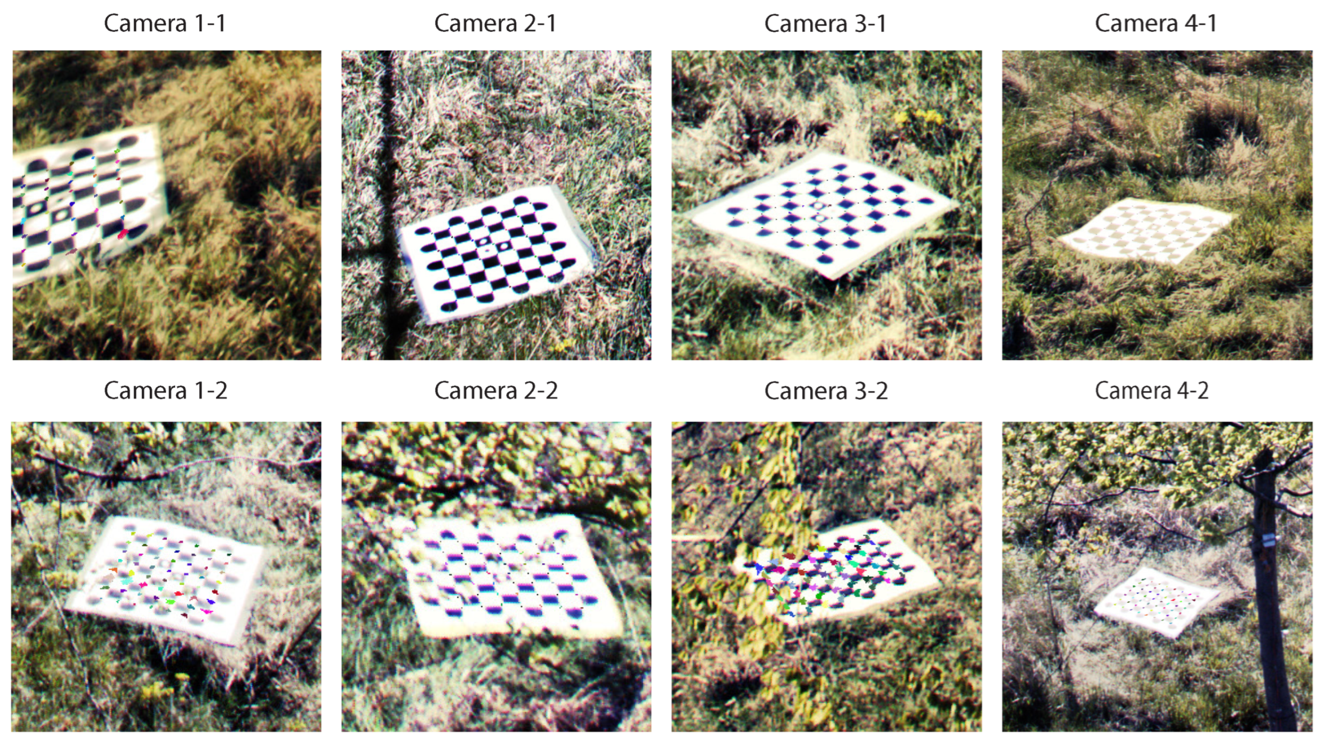 Forests 15 01846 g020 Forests 15 01846 g020