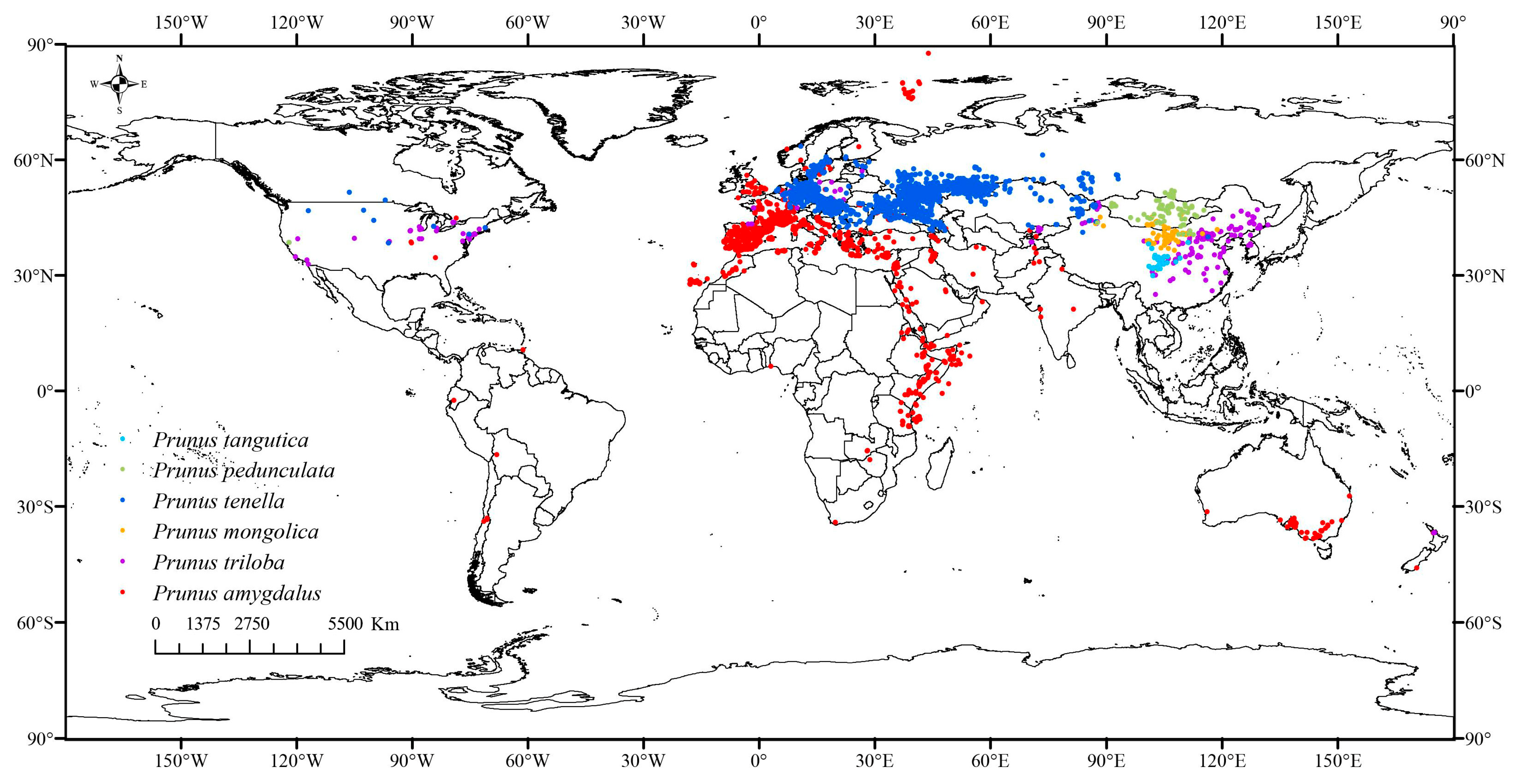Forests 15 01848 g001