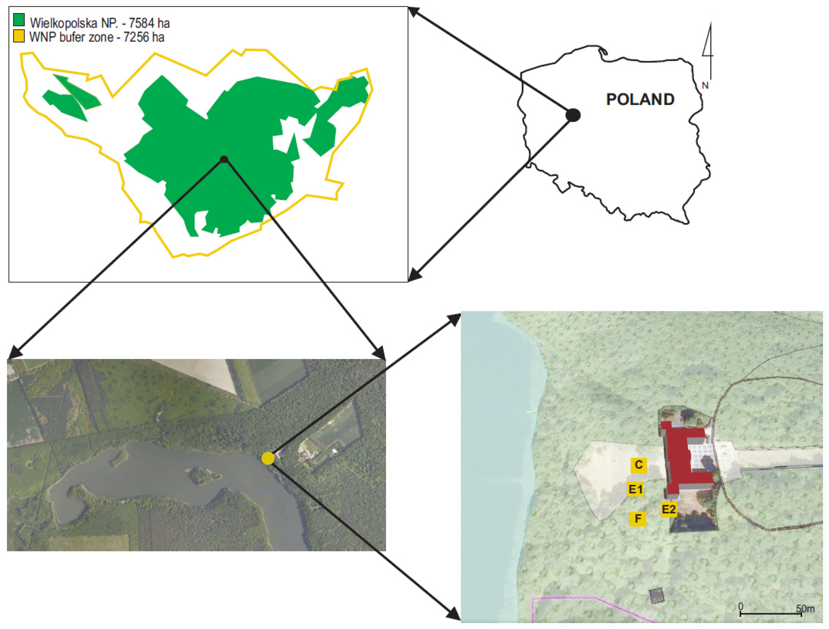 Forests 15 01851 g001