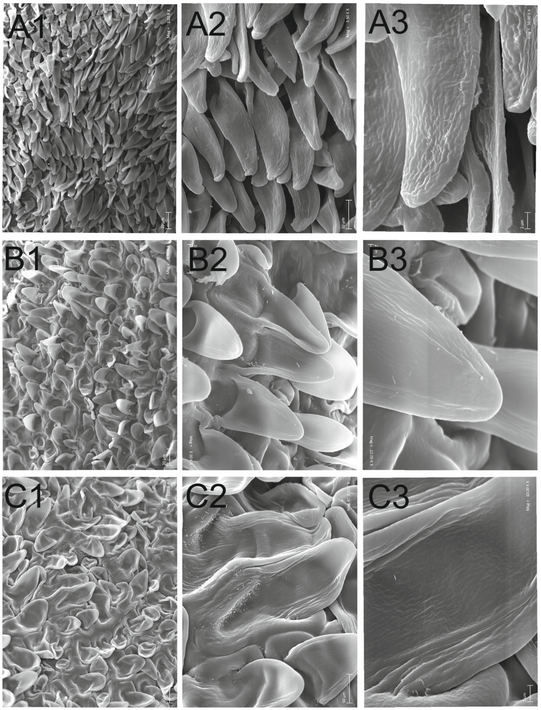 Forests 15 01851 g008