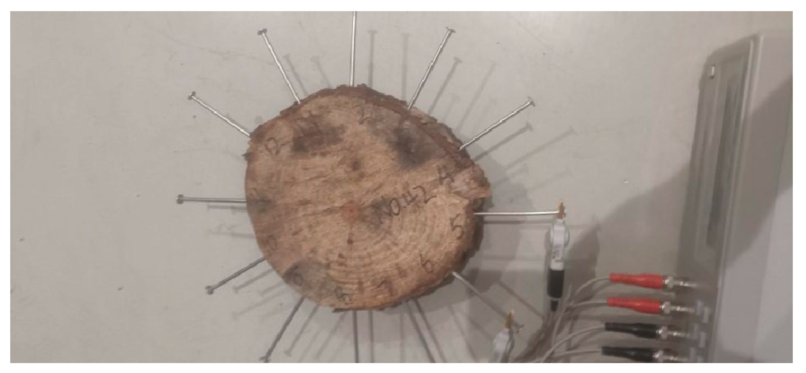 Forests 15 01858 g005