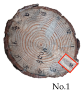 Forests 15 01858 i001