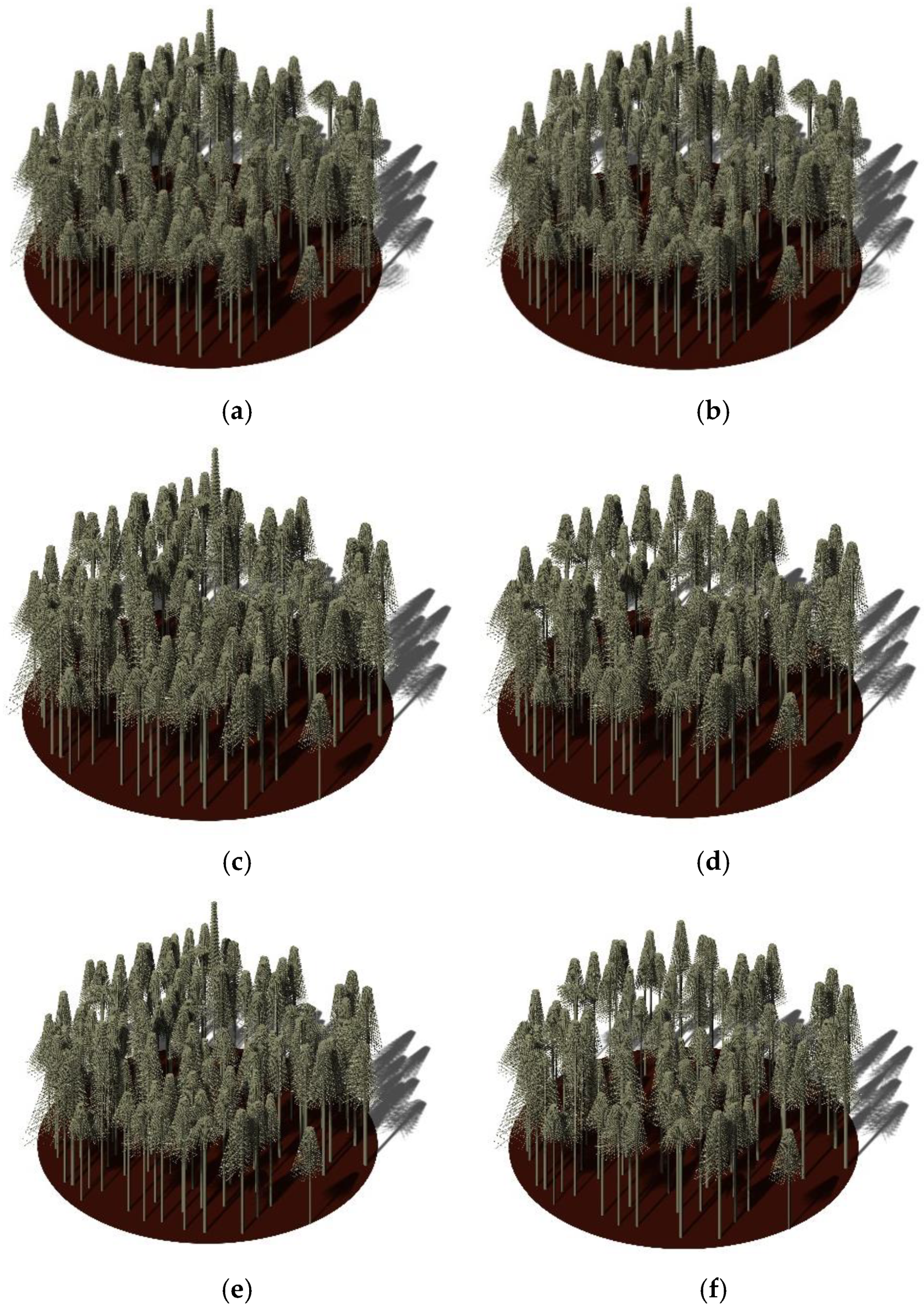 Forests 15 01859 g006