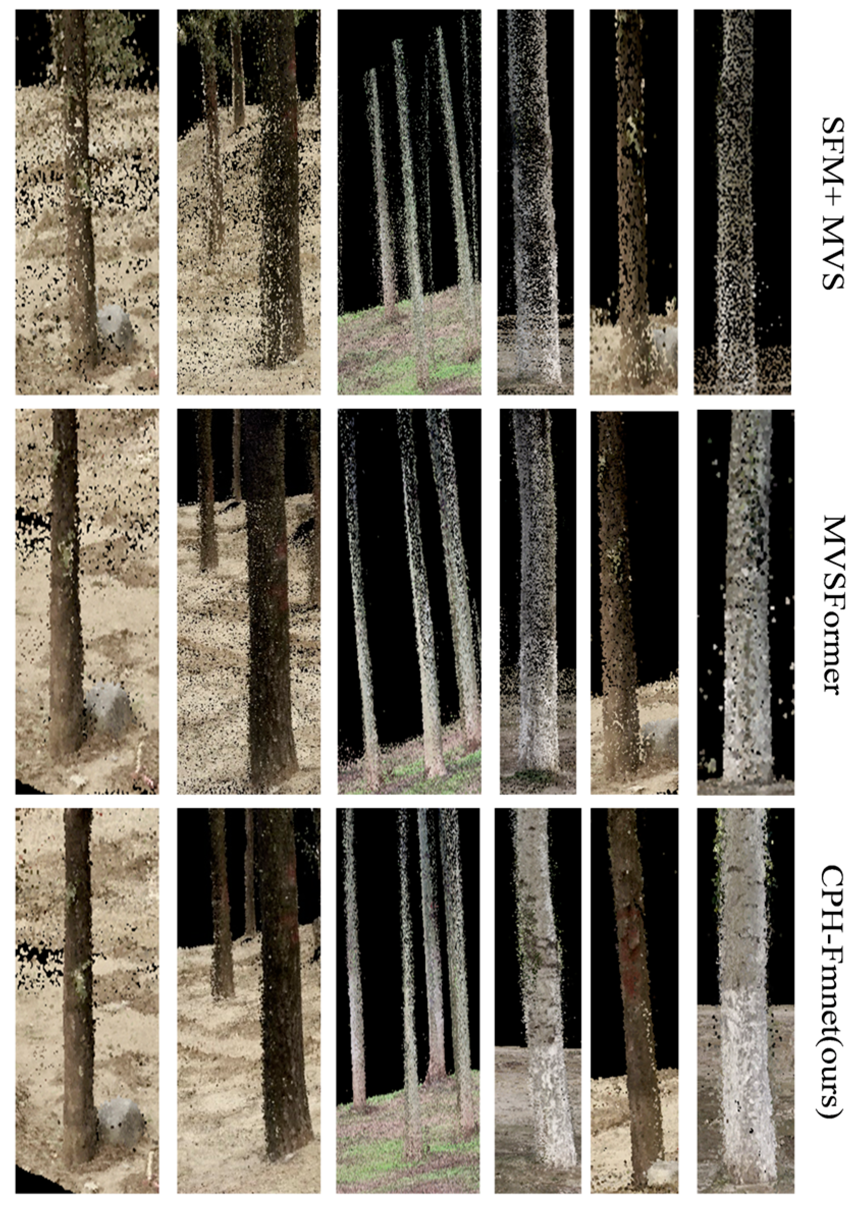 Forests 15 01860 g005