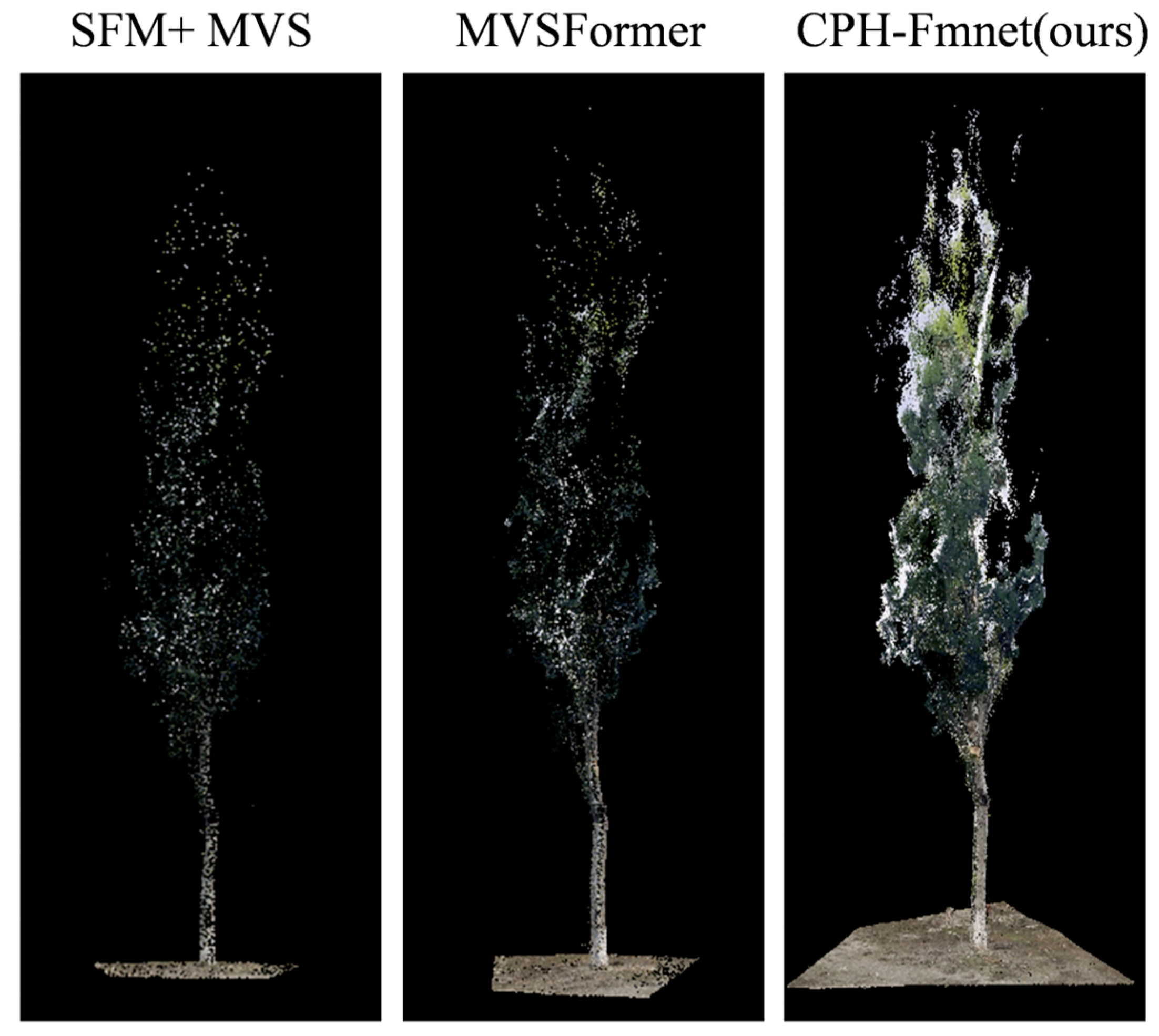Forests 15 01860 g006