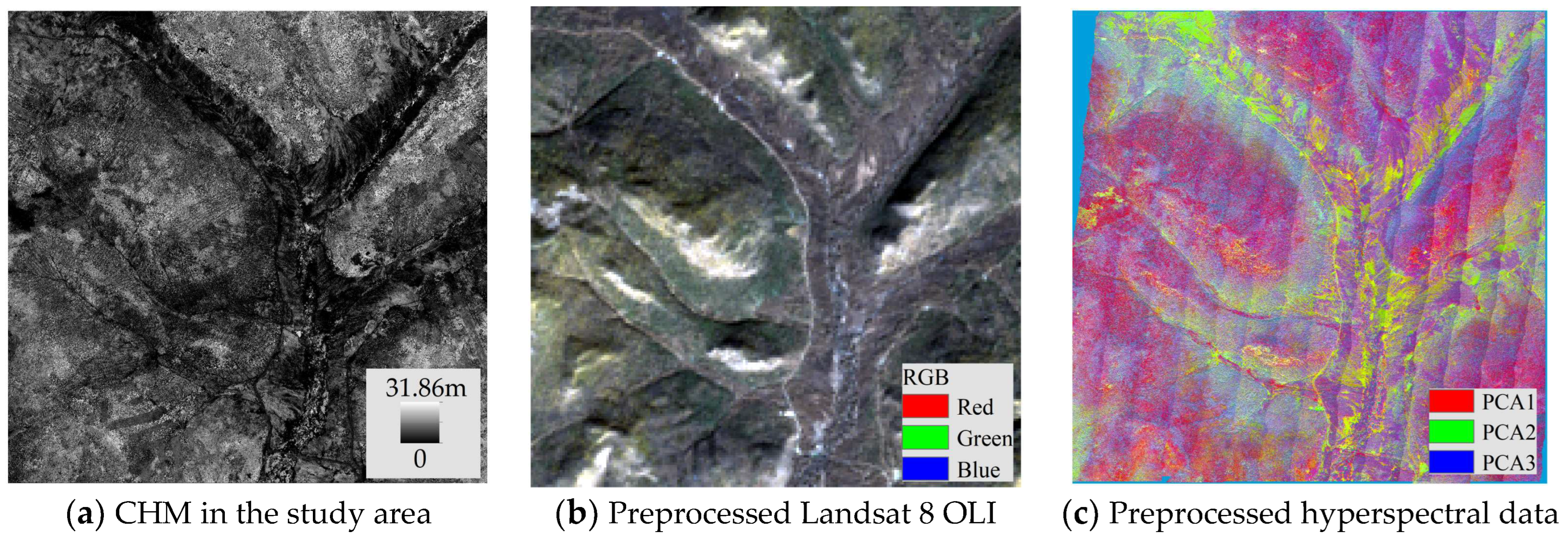 Forests 15 01861 g003