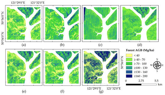 Estimation of Forest Above-Ground Biomass in the Study Area of Greater  Khingan Ecological Station with Integration of Airborne LiDAR, Landsat 8  OLI, and Hyperspectral Remote Sensing Data