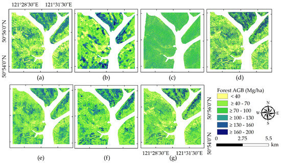 Estimation of Forest Above-Ground Biomass in the Study Area