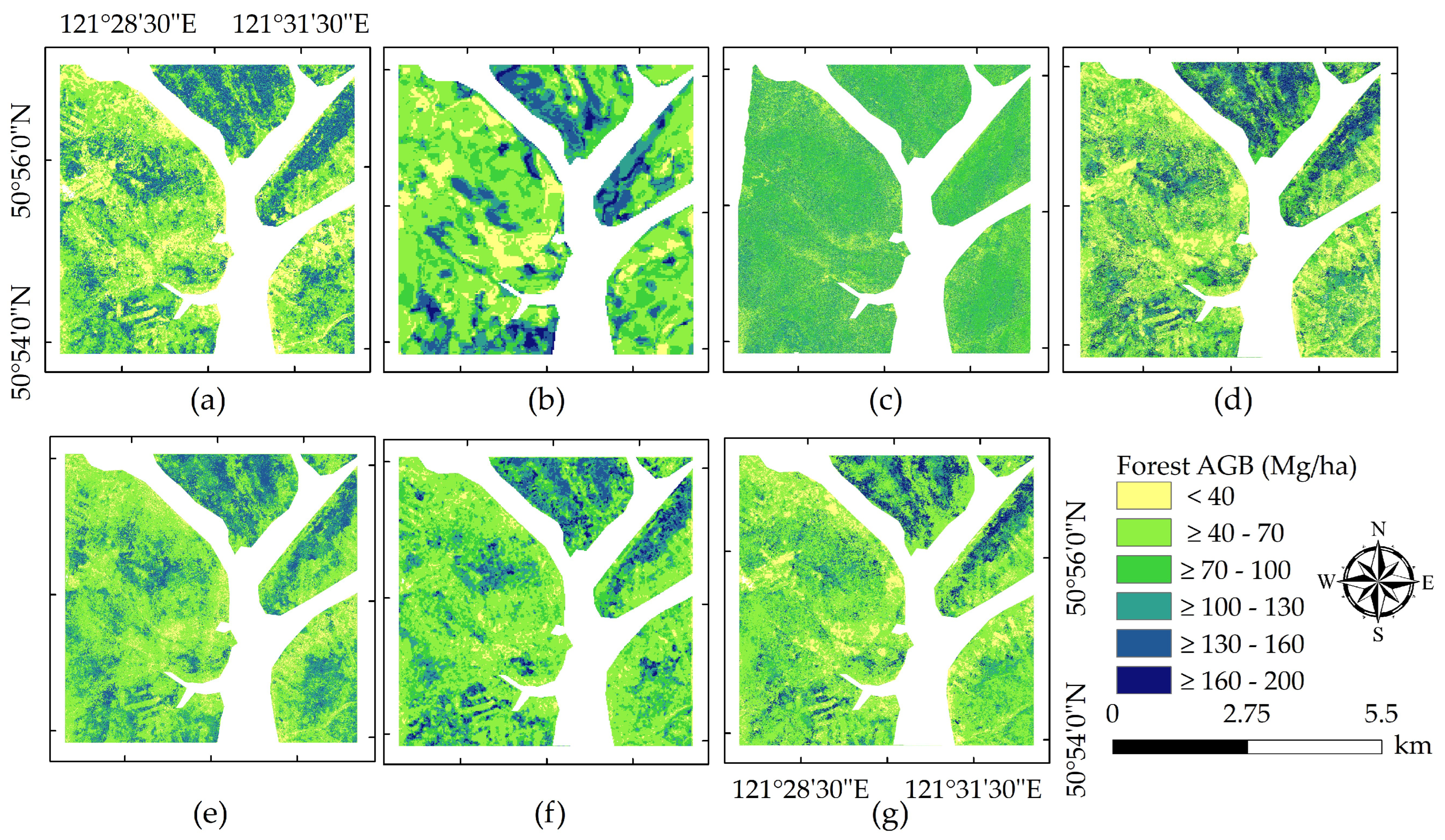 Forests 15 01861 g012