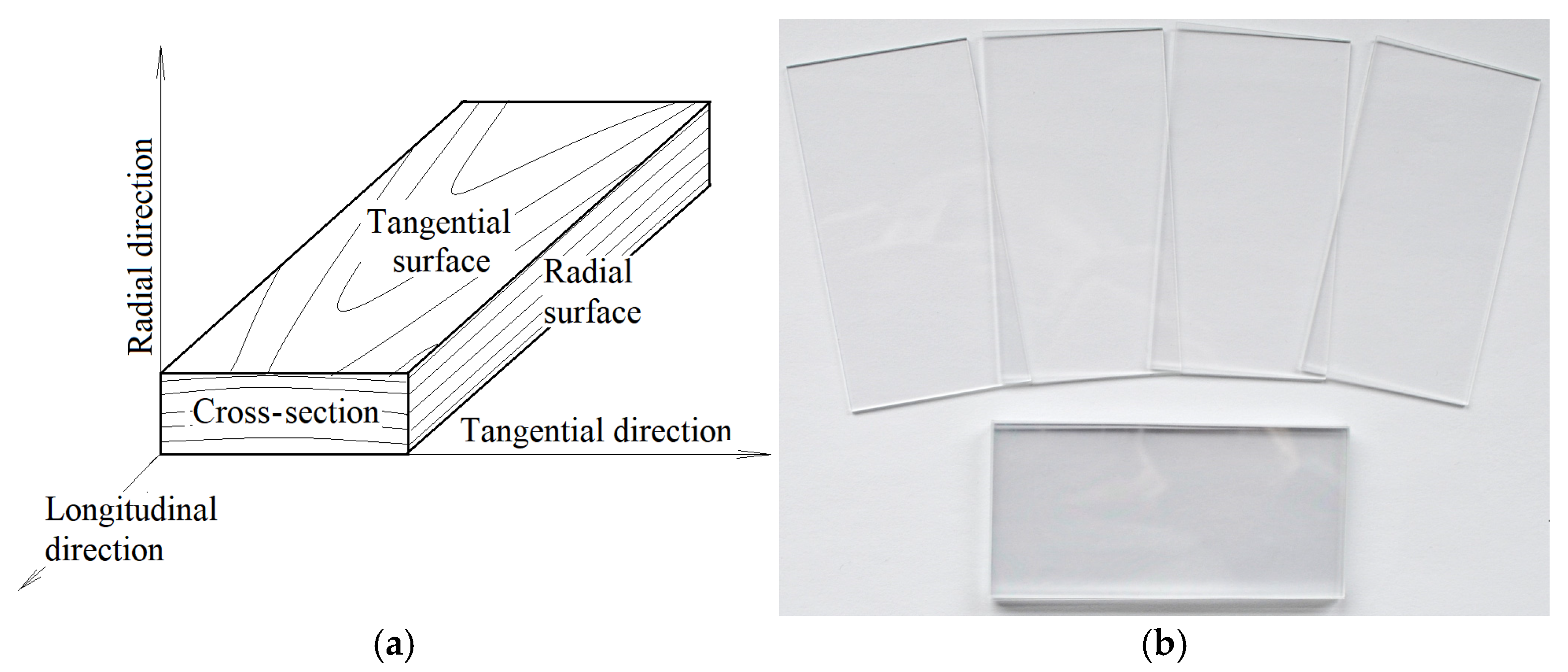 Forests 15 01865 g001