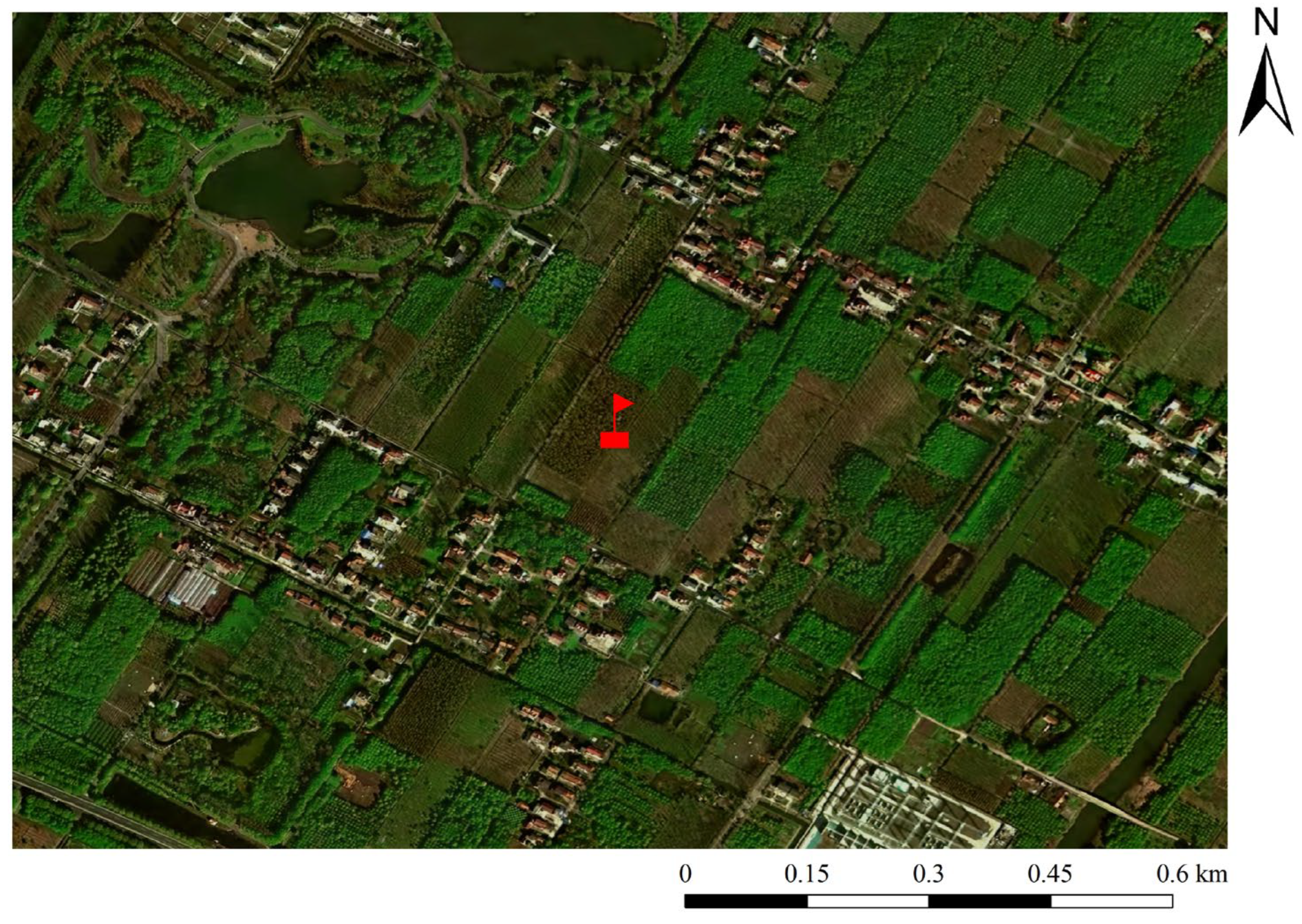 Forests 15 01868 g004
