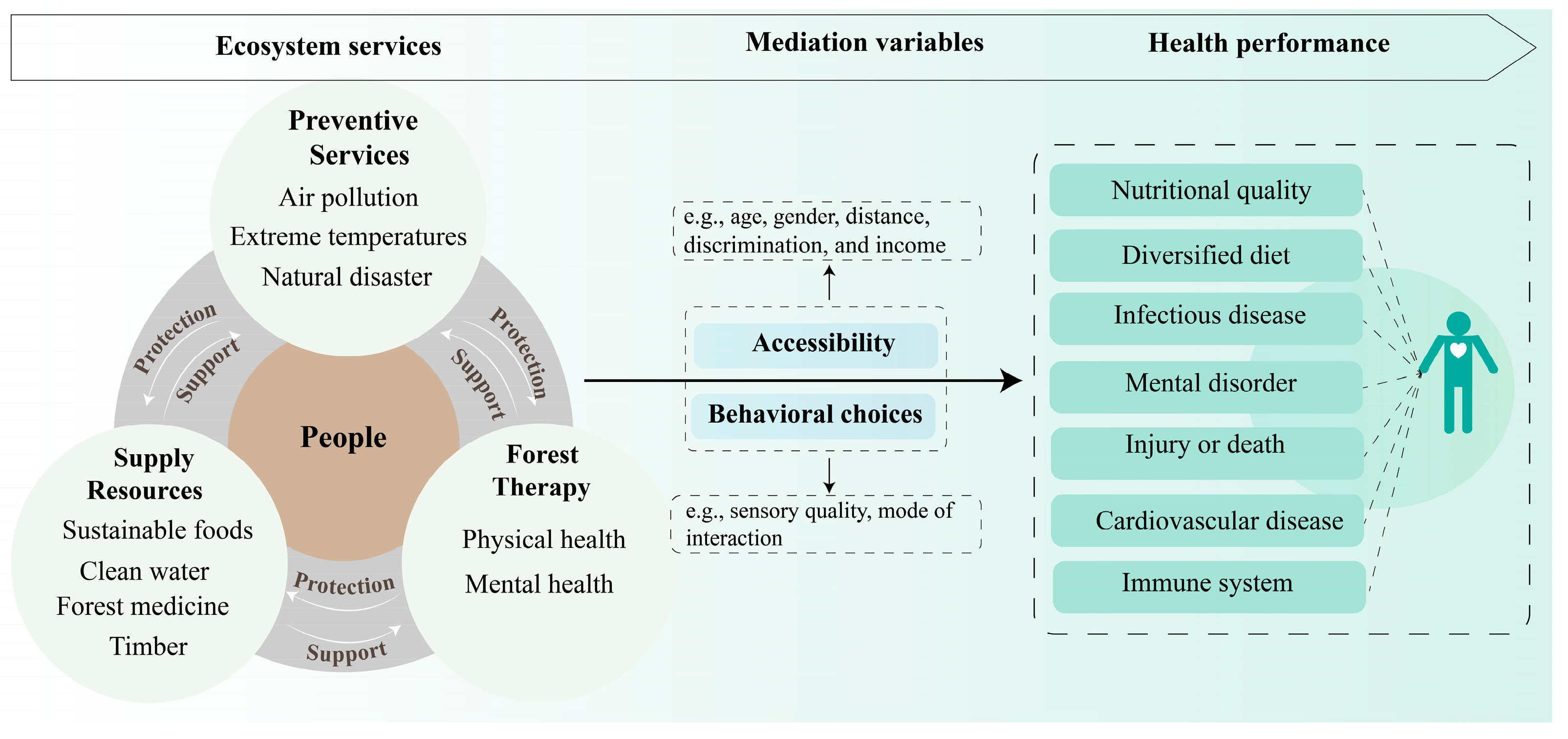 Forests 15 01872 g002