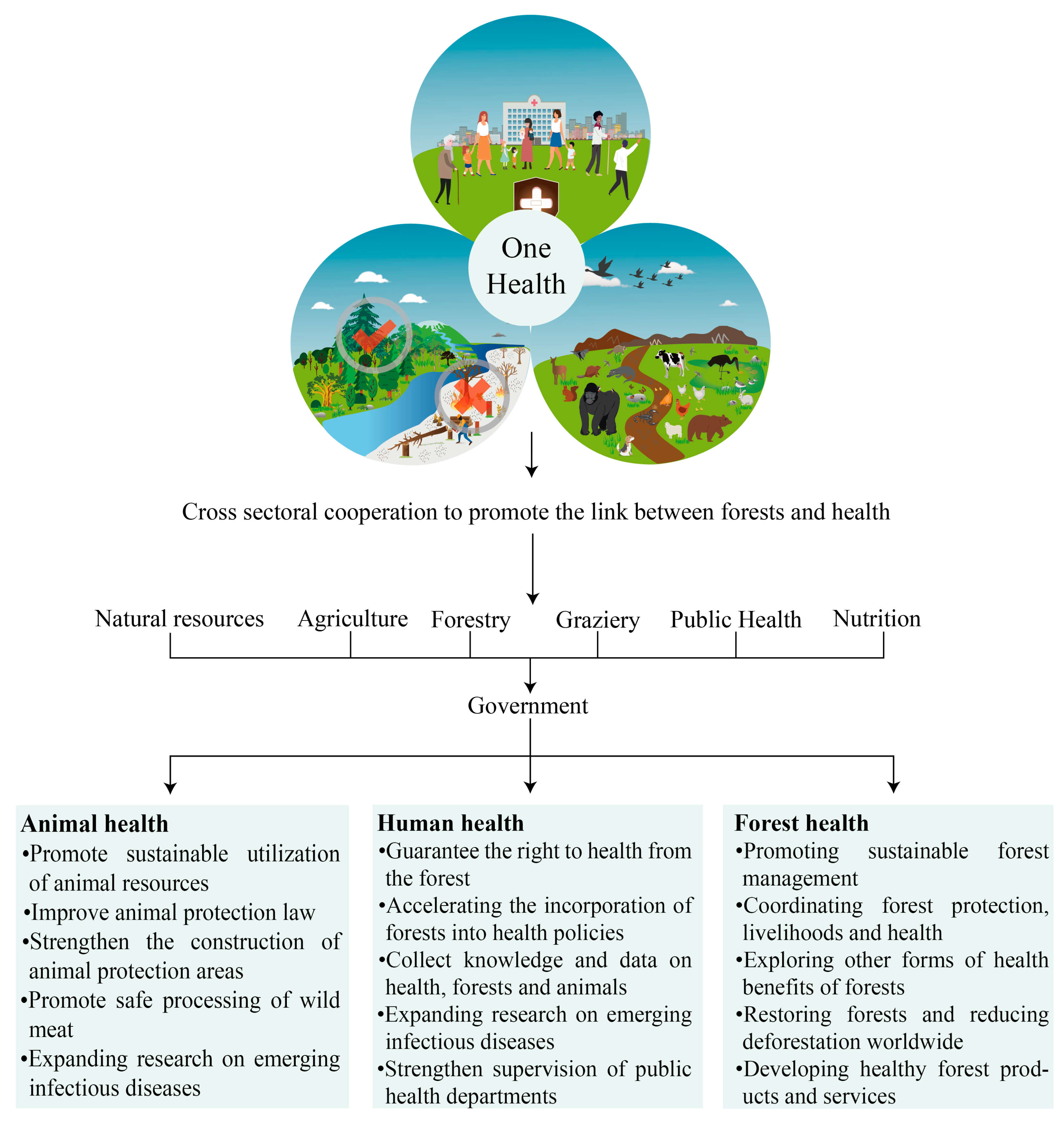 Forests 15 01872 g006
