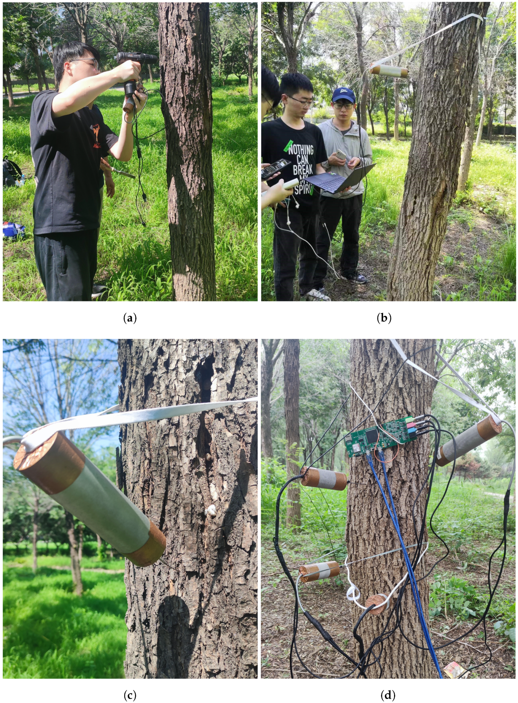 Forests 15 01875 g005