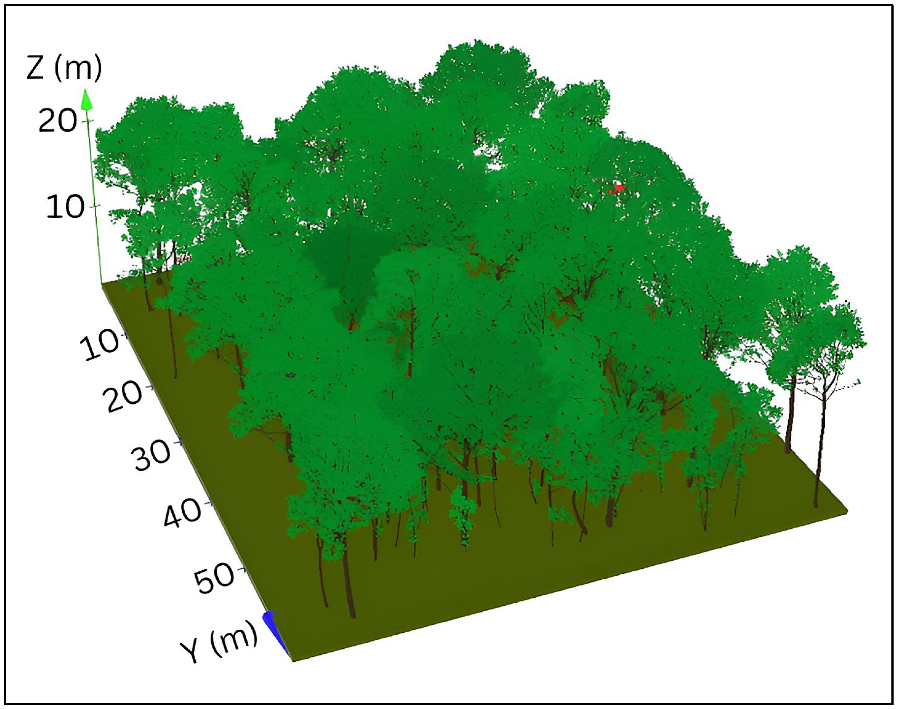 Forests 15 01878 g001