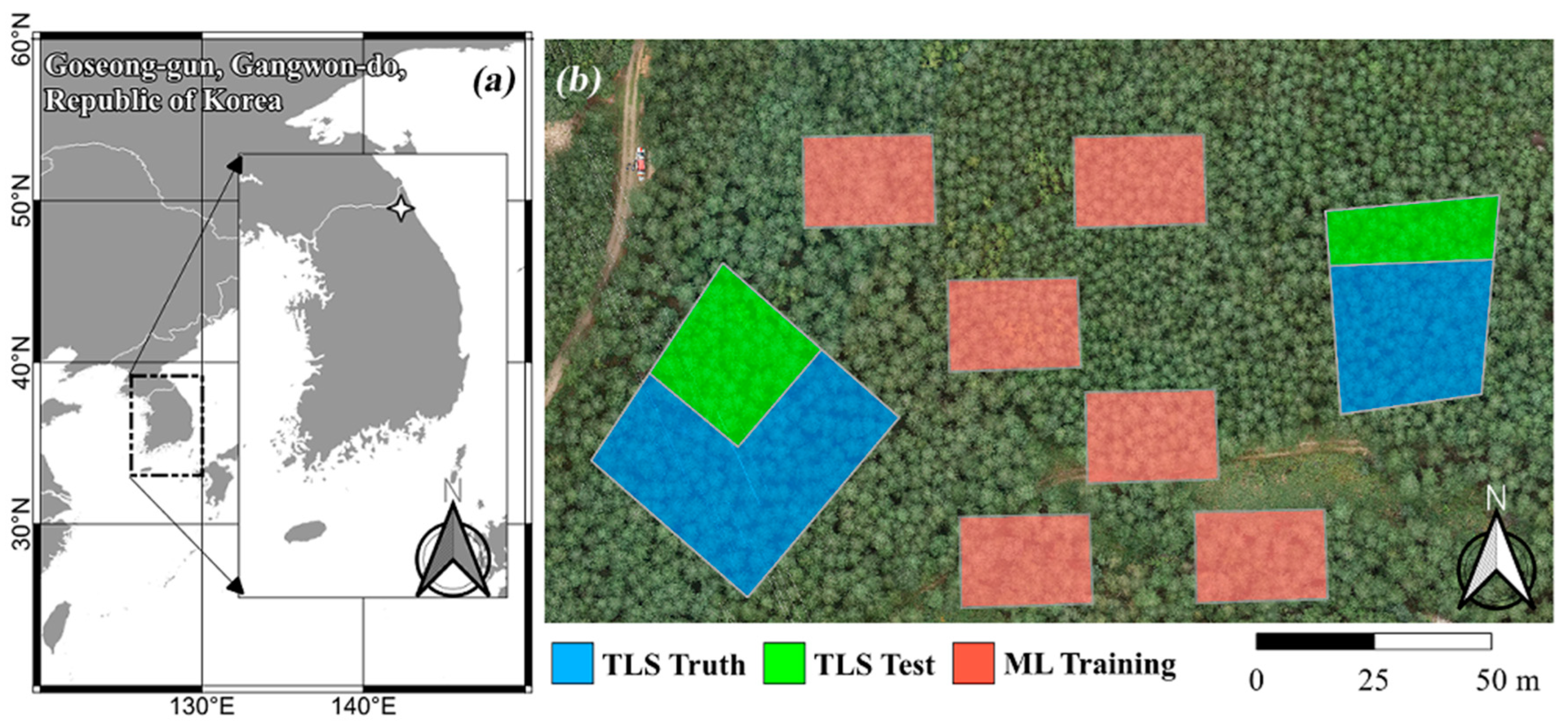 Forests 15 01881 g002