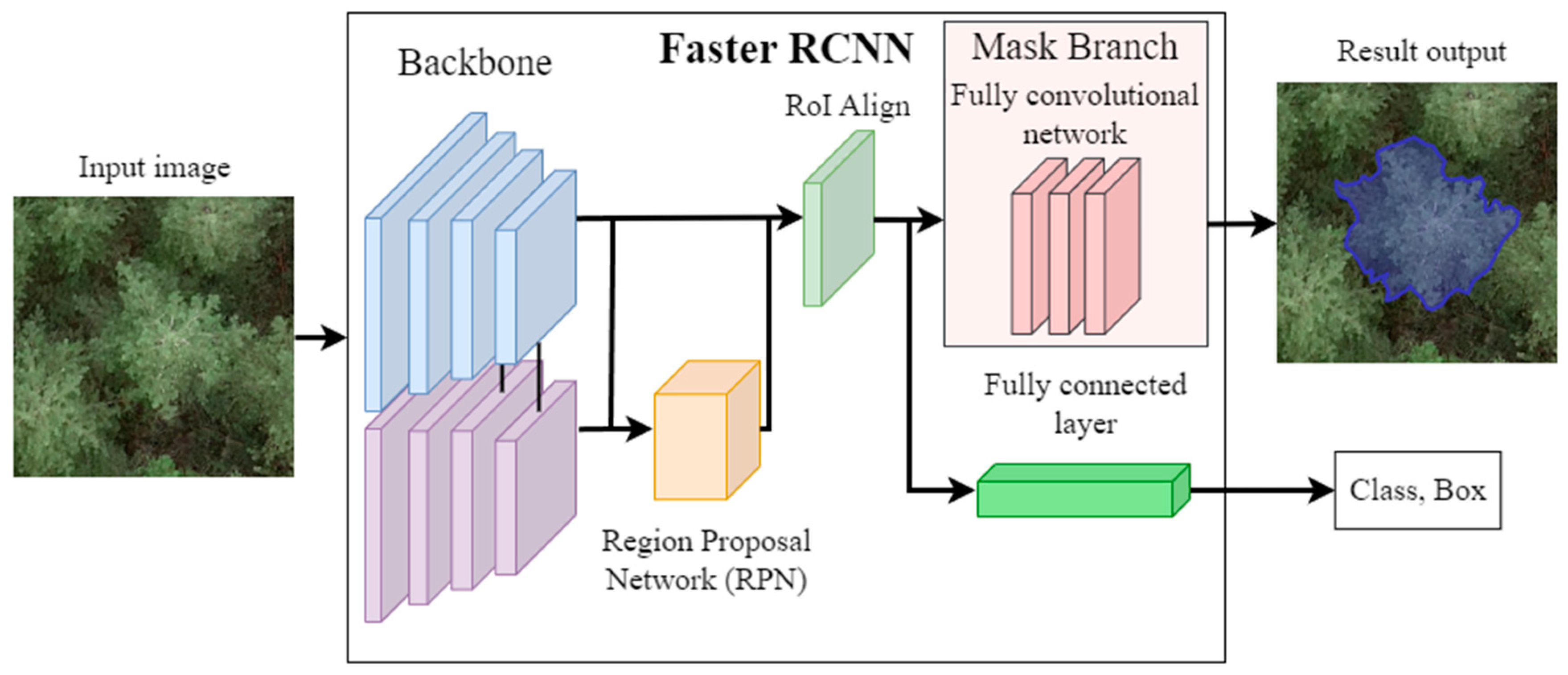 Forests 15 01881 g003