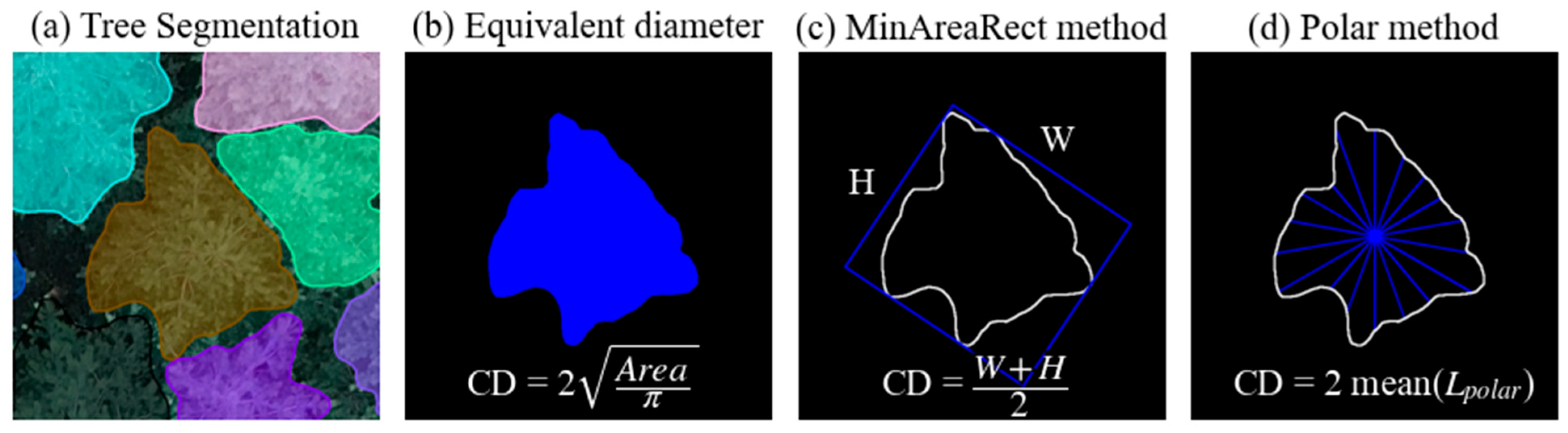 Forests 15 01881 g004
