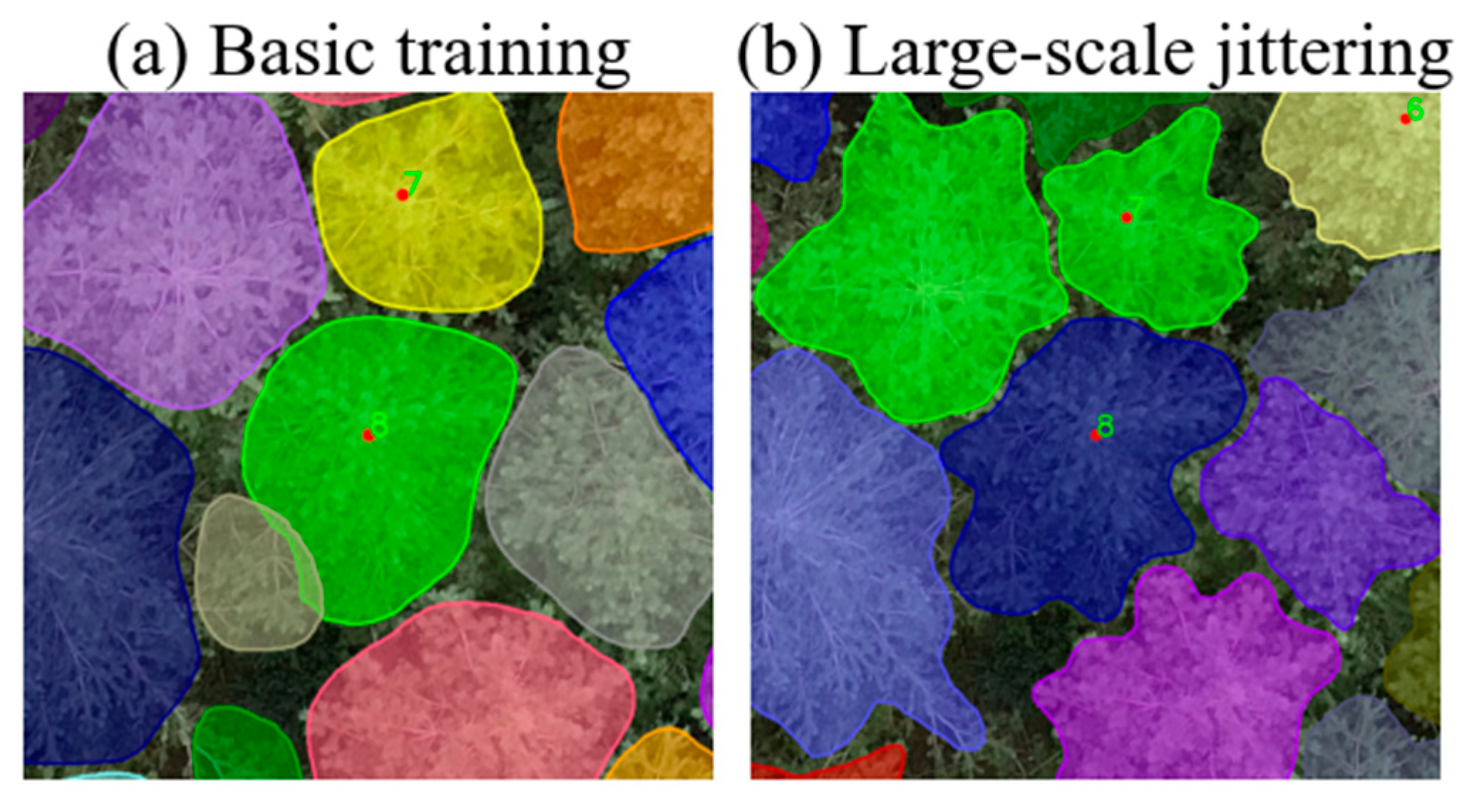 Forests 15 01881 g005
