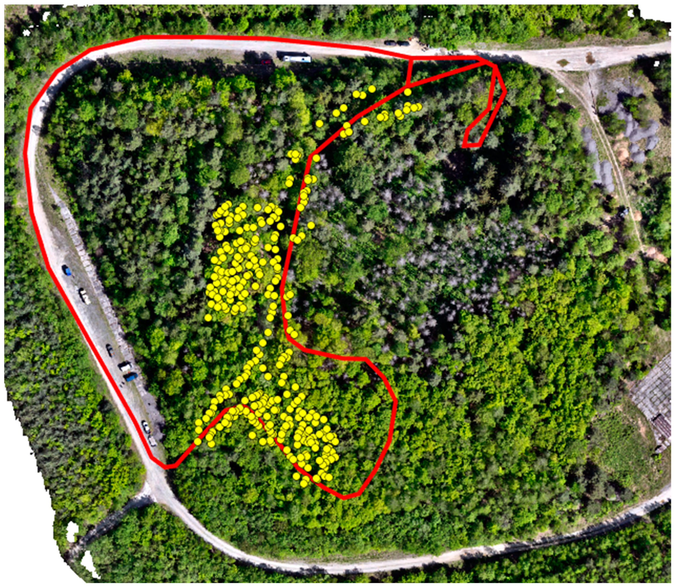 Forests 15 01882 g002