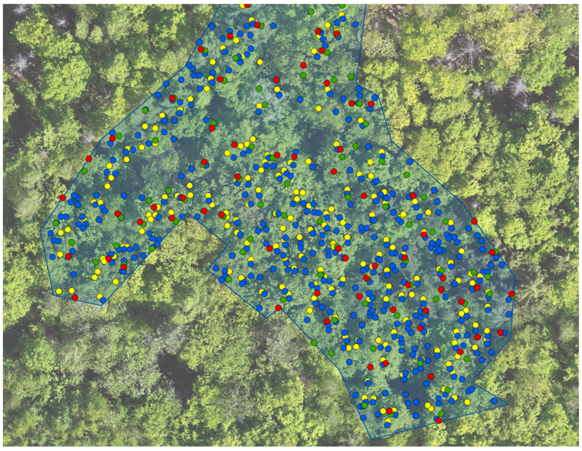 Forests 15 01882 g003